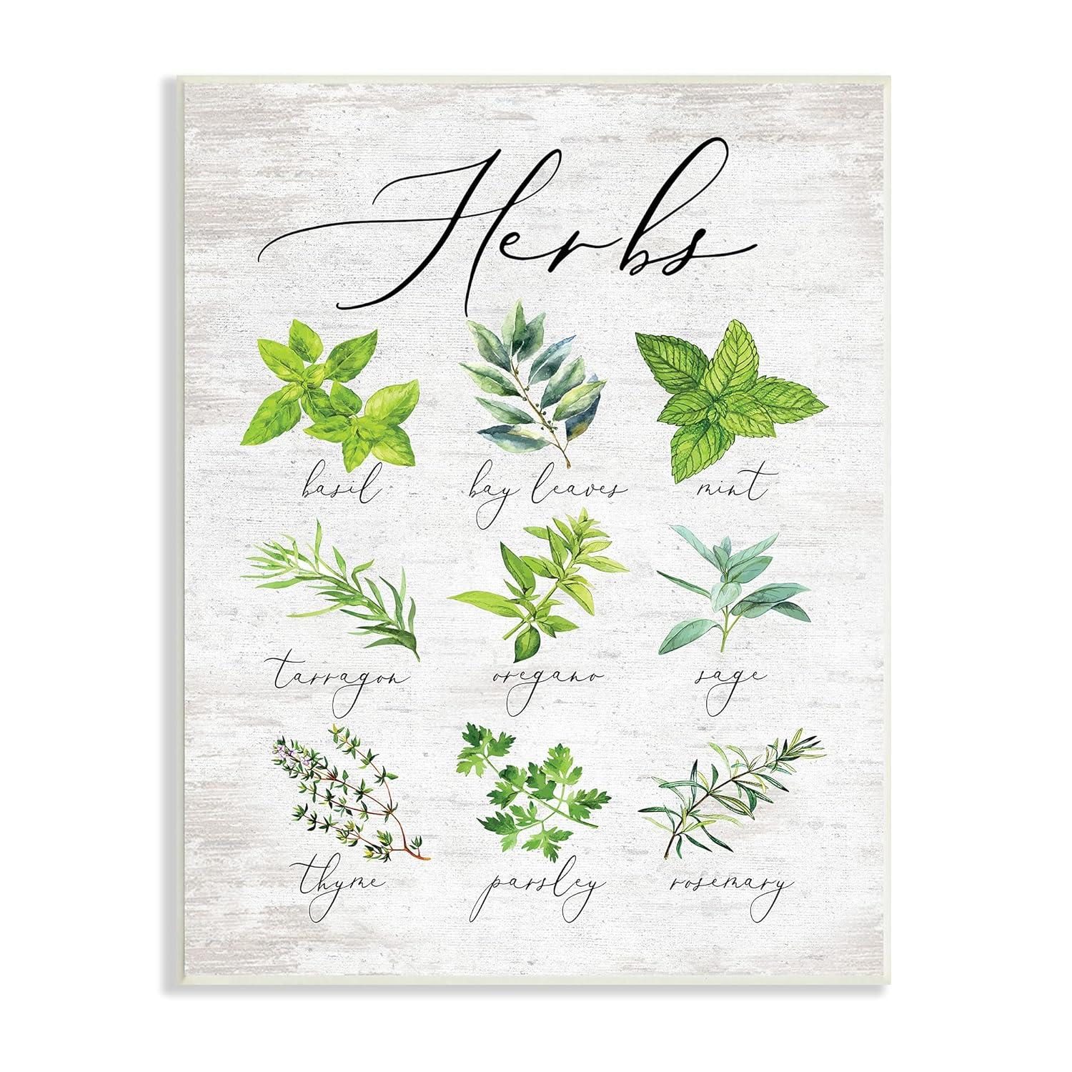Stupell Indtries Kitchen Herb Reference Chart Garden Fresh Home Seasoning,10 x 15,Design by Lettered and Lined