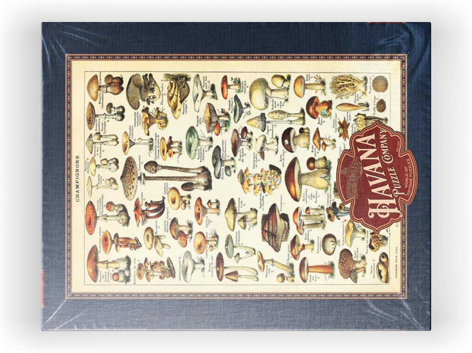 MyPuzzle - Champignons - Mushrooms For All, Vintage Art Poster, Adolphe Millot - Premium 1000 Piece Jigsaw Puzzle for Adults