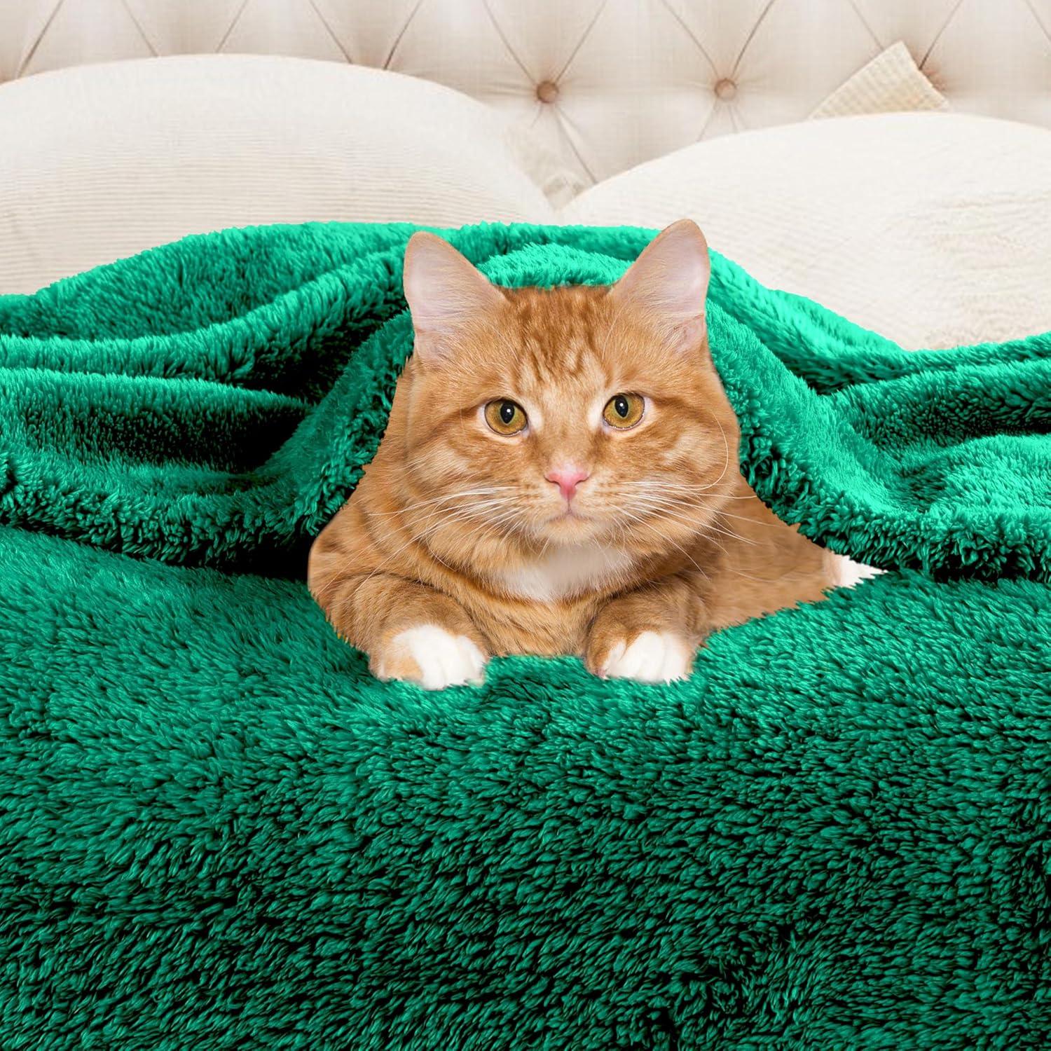 Superior Solid Polyester Reversible All-Season Fleece Throws Blanket