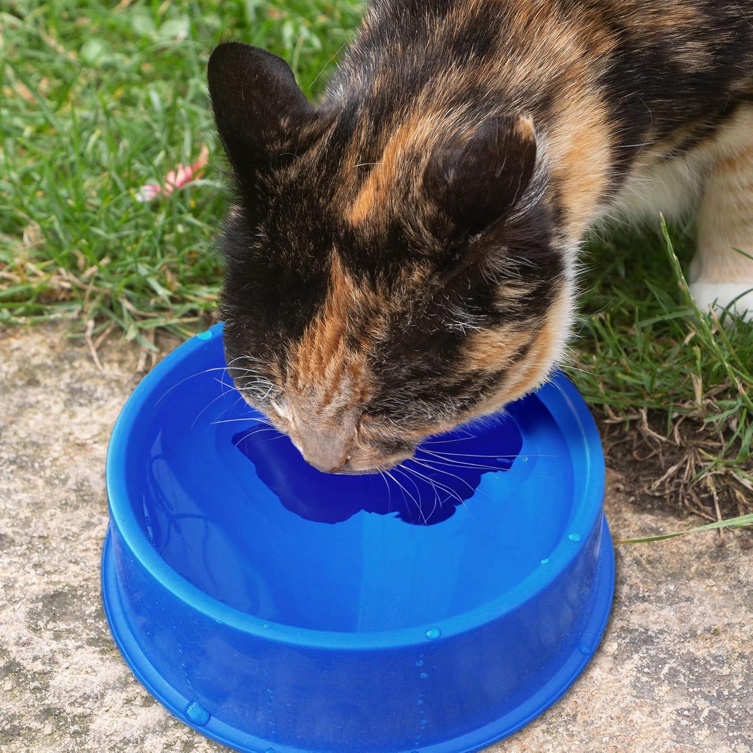 Blue Plastic Heated Pet Bowl with Anti Chew Cord, 1 Quart