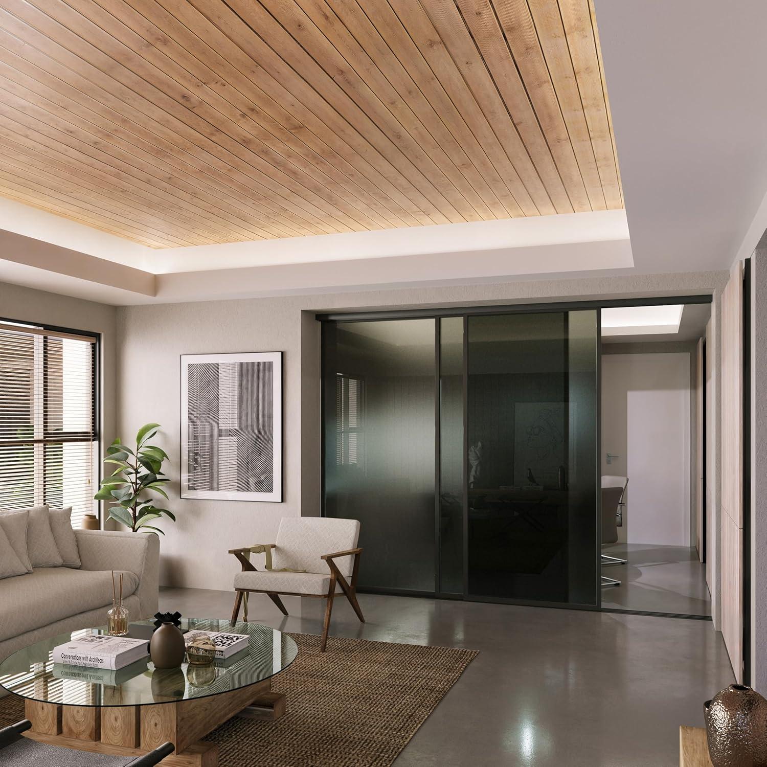 Doors55 Glass Room Divider Panel and Partition Wall