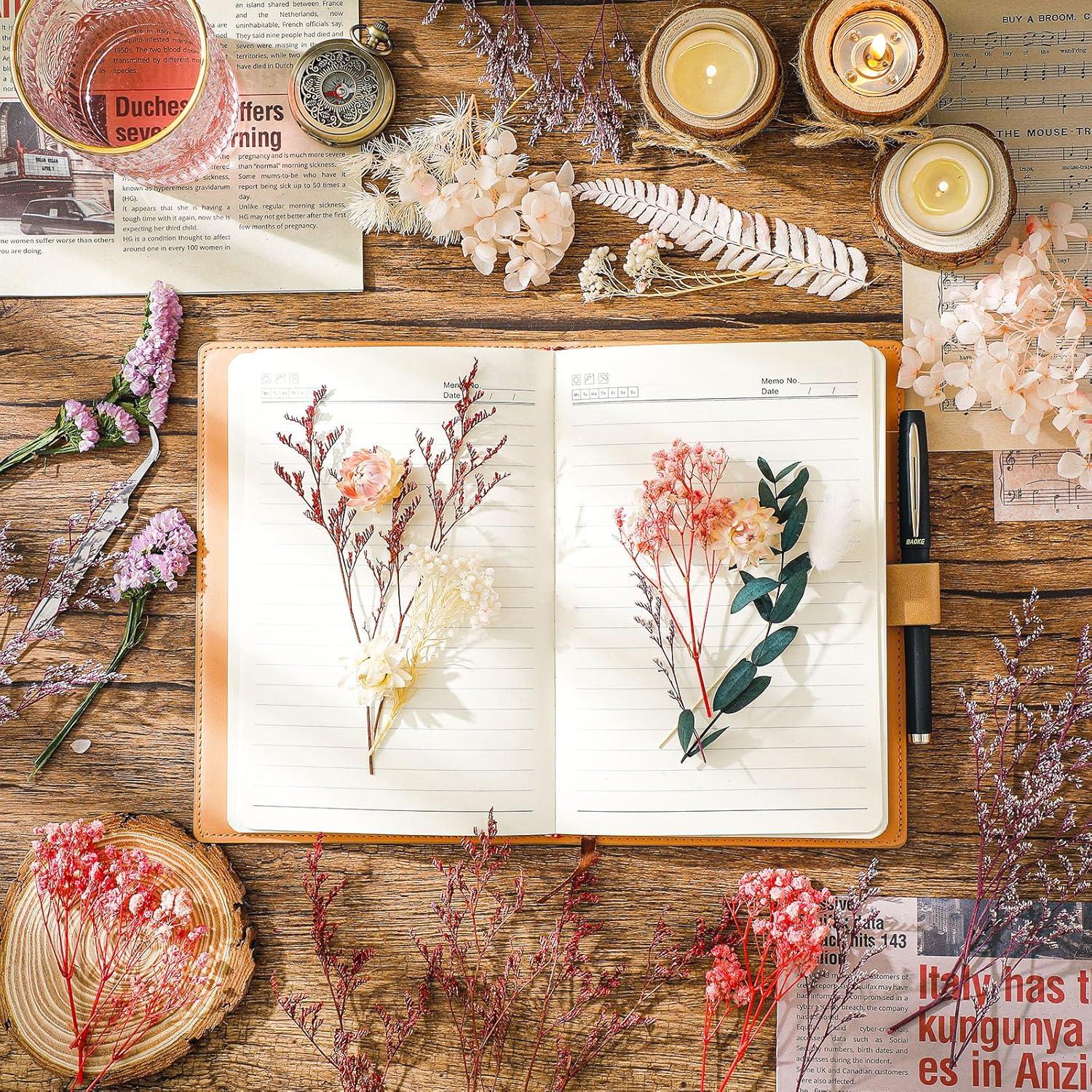 Yoloke DIY Dried Flowers Craft Kit - Natural Assorted Dried Florals for Making Everlasting Valentine's Day Gifts, Unique Design, Perfect for Framing & Creative Decor