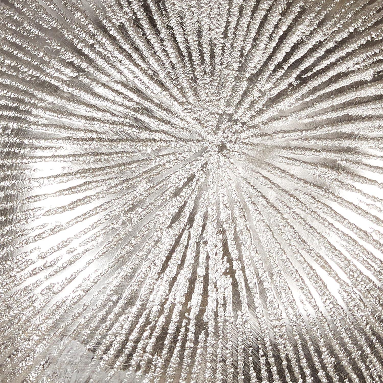 Silver Aluminum Abstract Radial Plate Wall Sculpture