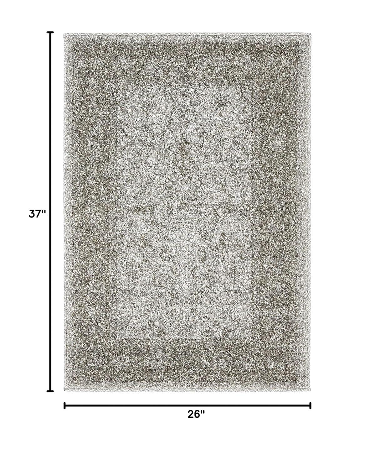 La Jolla Floral Light Gray 2' 2 x 3' 0 Area Rug