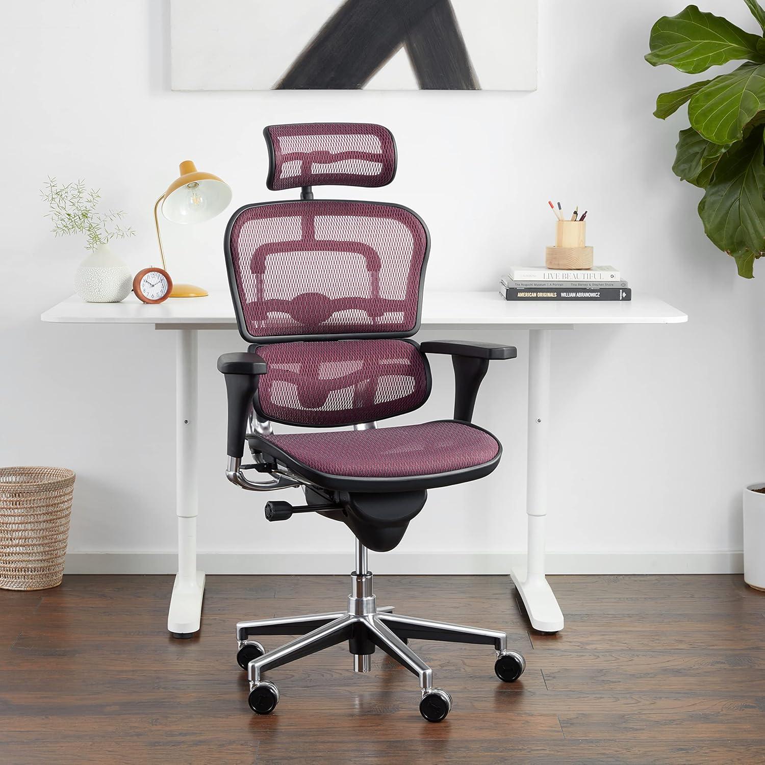 Raynor Eurotech Ergo Human High Back Managers Chair with Headrest and Mesh Plum Red ME7ERG-Red(N)