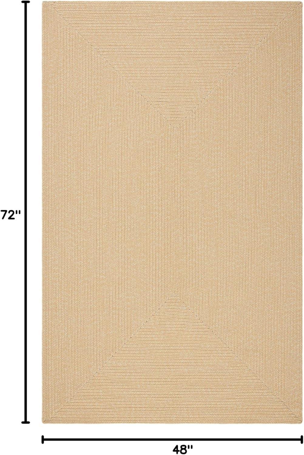 Braided BRD315 Hand Woven Area Rug  - Safavieh