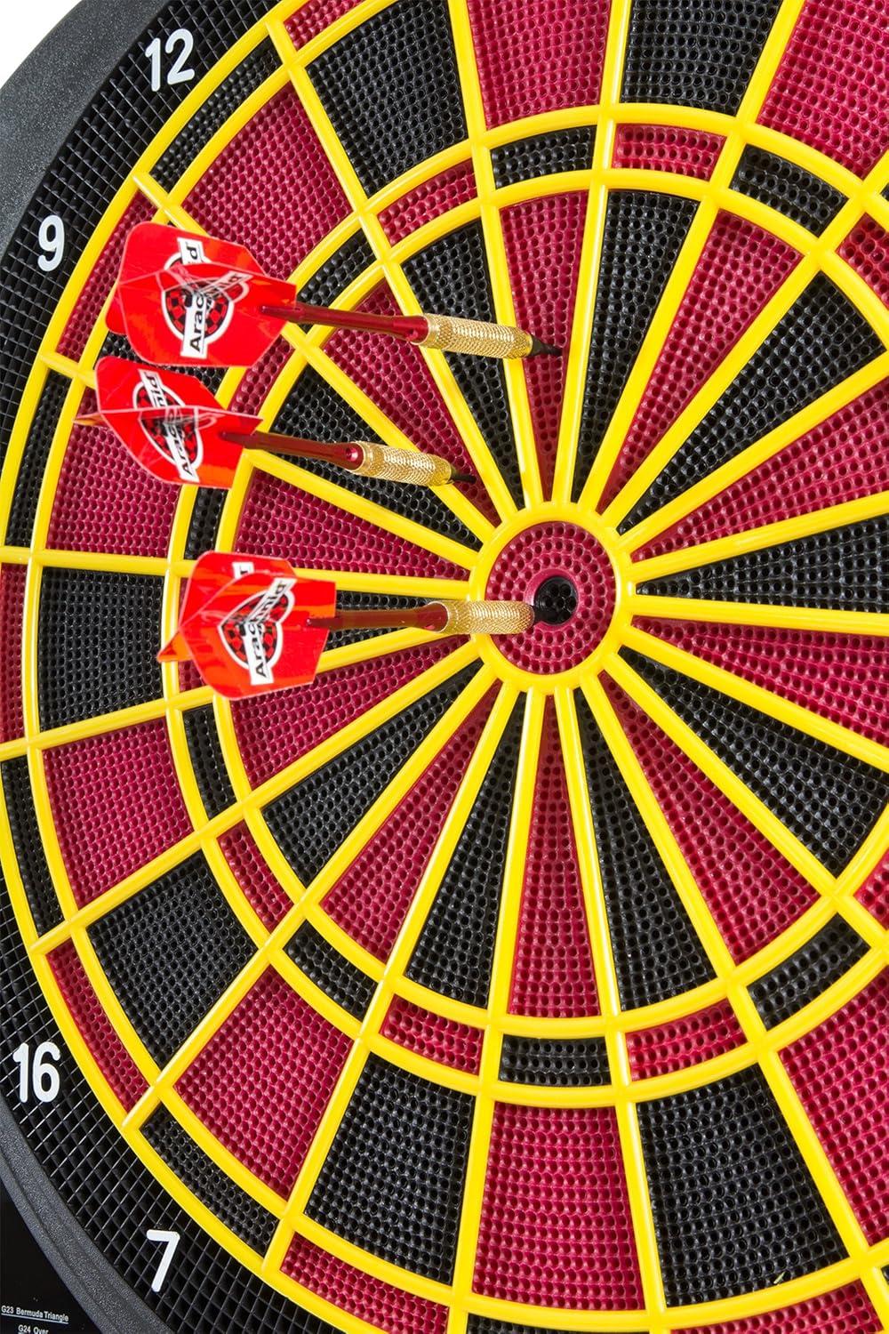 Interactive Professional Electronic Dartboard