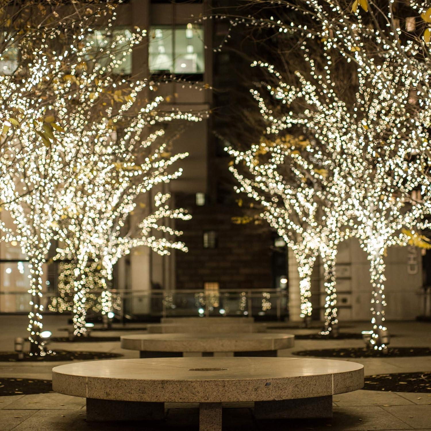 Solar Powered Mini String Lights with 50 Soft White Bulbs