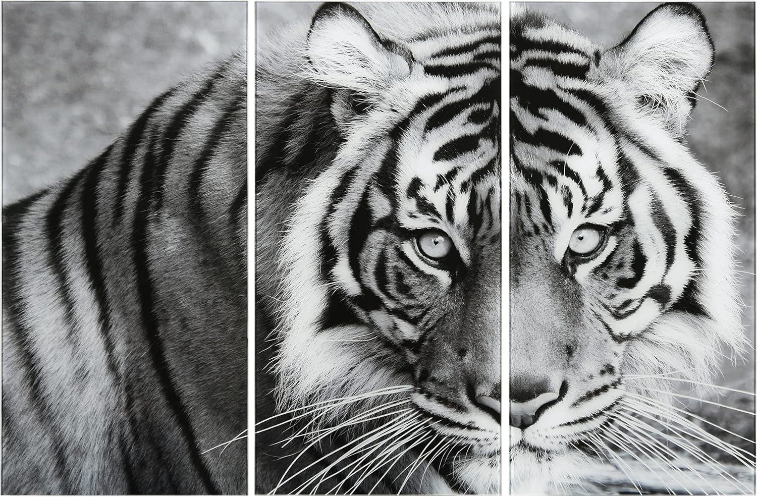 Empire Art Direct " Tiger ABC " 3 - Pieces