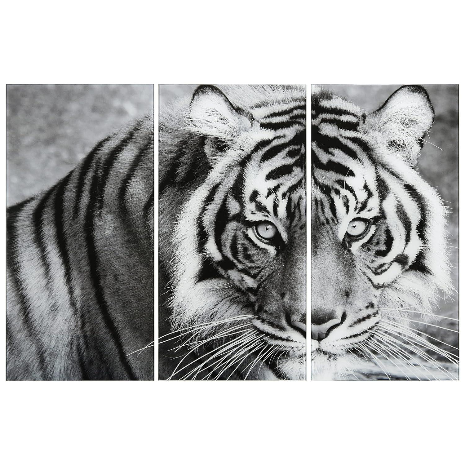 Empire Art Direct " Tiger ABC " 3 - Pieces