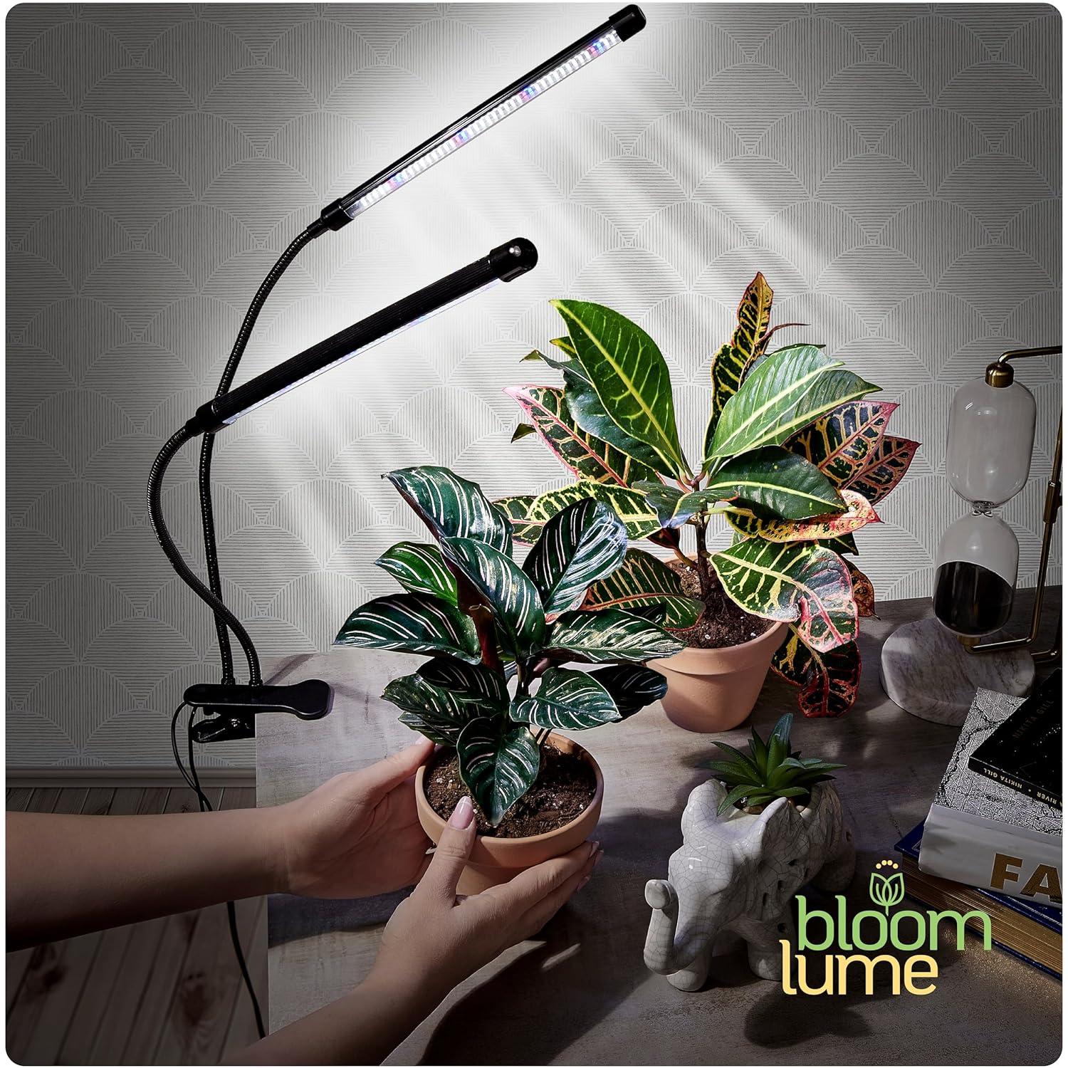 Bloom Lume LED Grow Lights for Indoor Plants Full Spectrum - Features Multi-Mode Color Spectrums, Dimmable, Auto Timer, Clip on Goosneck Plant Lamp