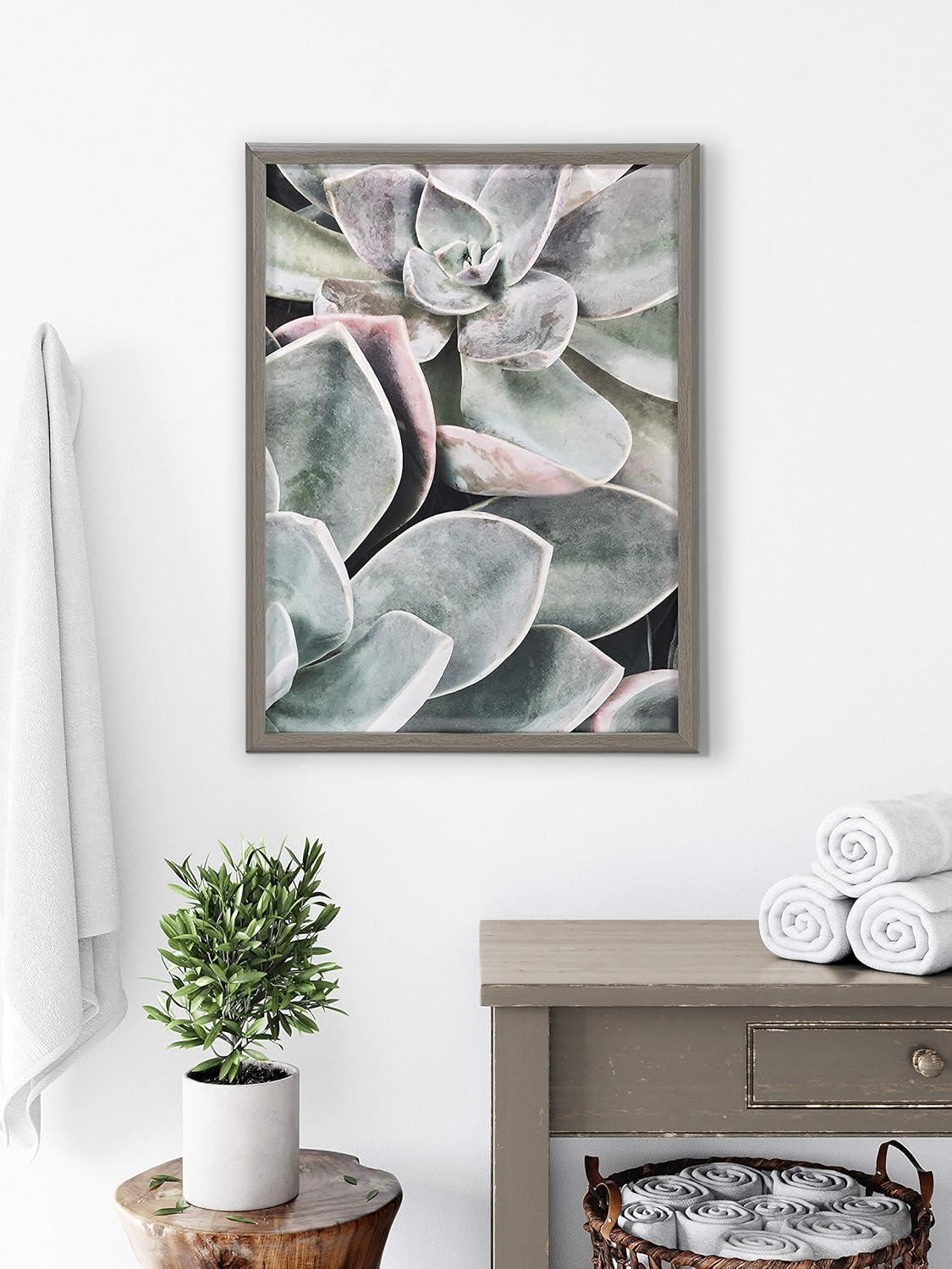 18" x 24" Blake Botanical Succulent Plants 1 by Creative Bunch Studio: Modern Wall Decor Art - Kate & Laurel All Things Decor