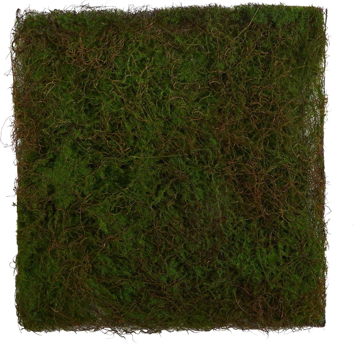 Elevated Serene Moss 20" Square Framed Artificial Wall Art