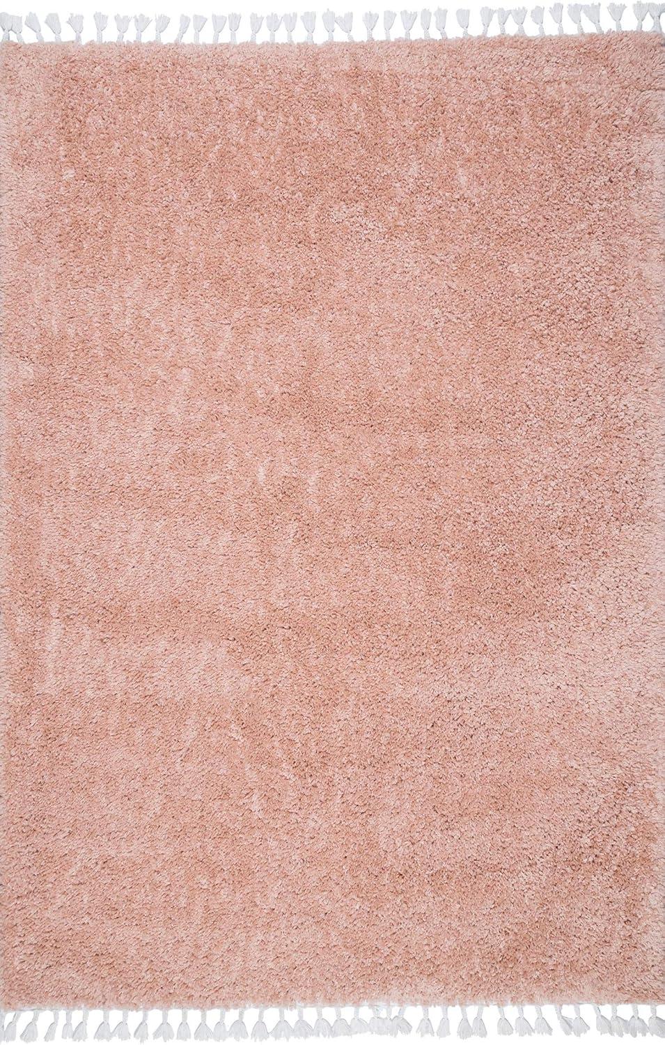 Nuloom Neva Modern Tasseled Shag Indoor Area Rug