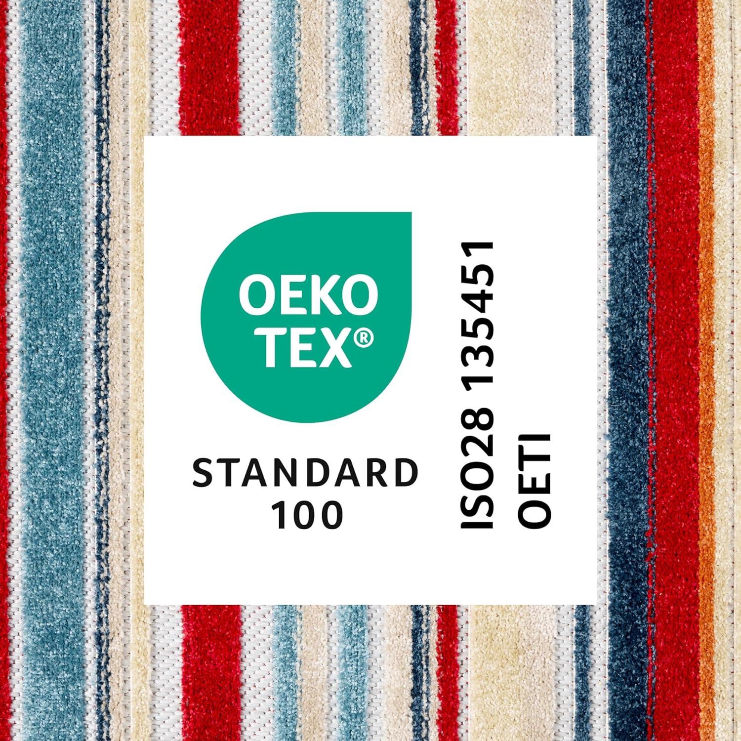 TOWN & COUNTRY EVERYDAY Rio Multicolor Stripe Outdoor Rug Red/Multi