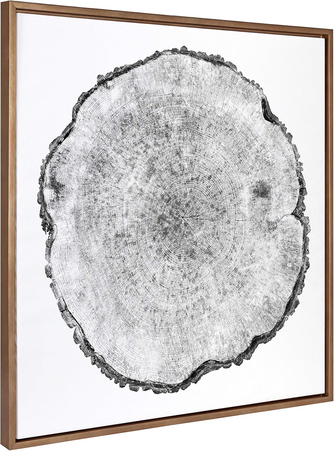 30" x 30" Sylvie Tree Rings Framed Wall Canvas by Emiko and Mark Franzen: Modern Botanical Art - Kate & Laurel All Things Decor