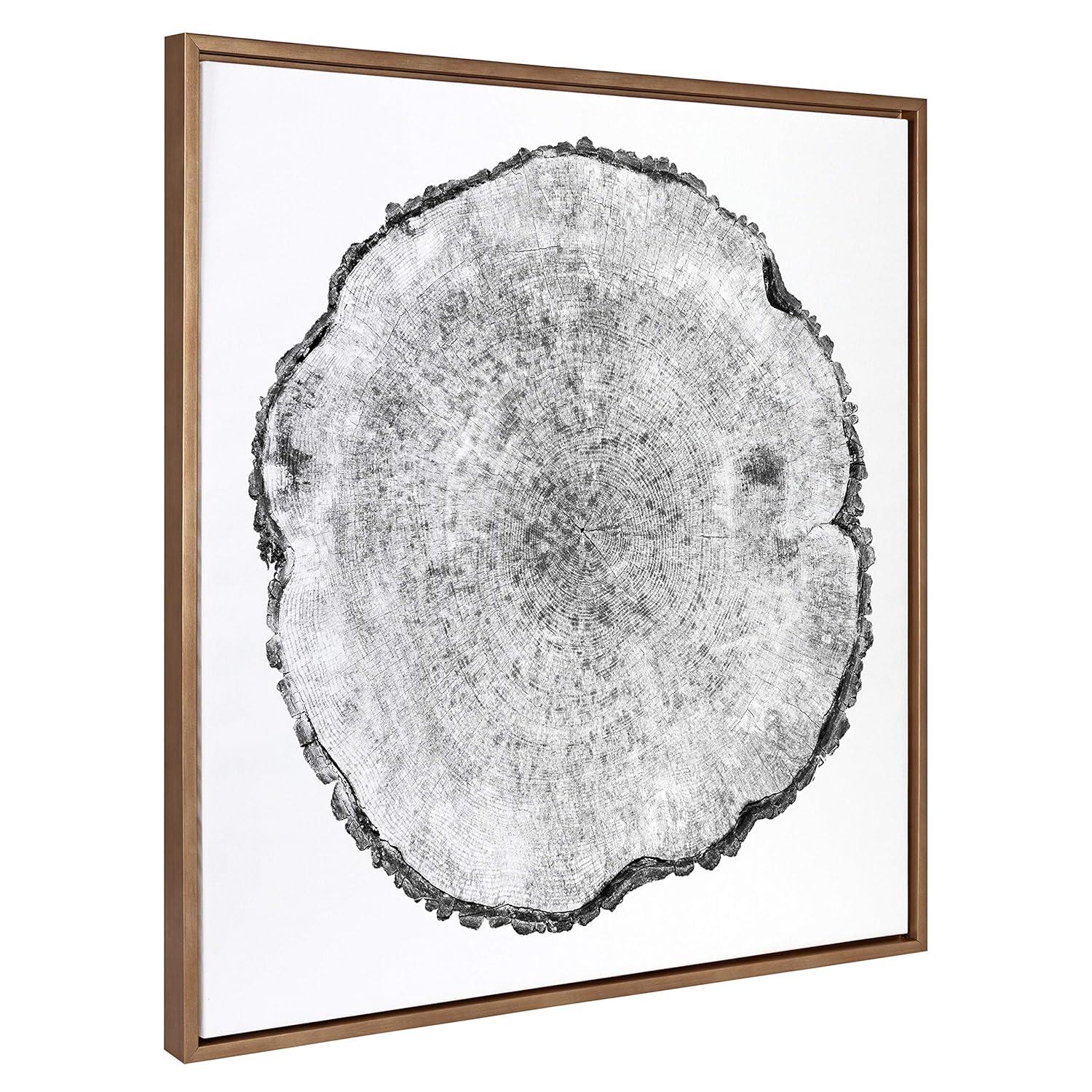 30" x 30" Sylvie Tree Rings Framed Wall Canvas by Emiko and Mark Franzen: Modern Botanical Art - Kate & Laurel All Things Decor