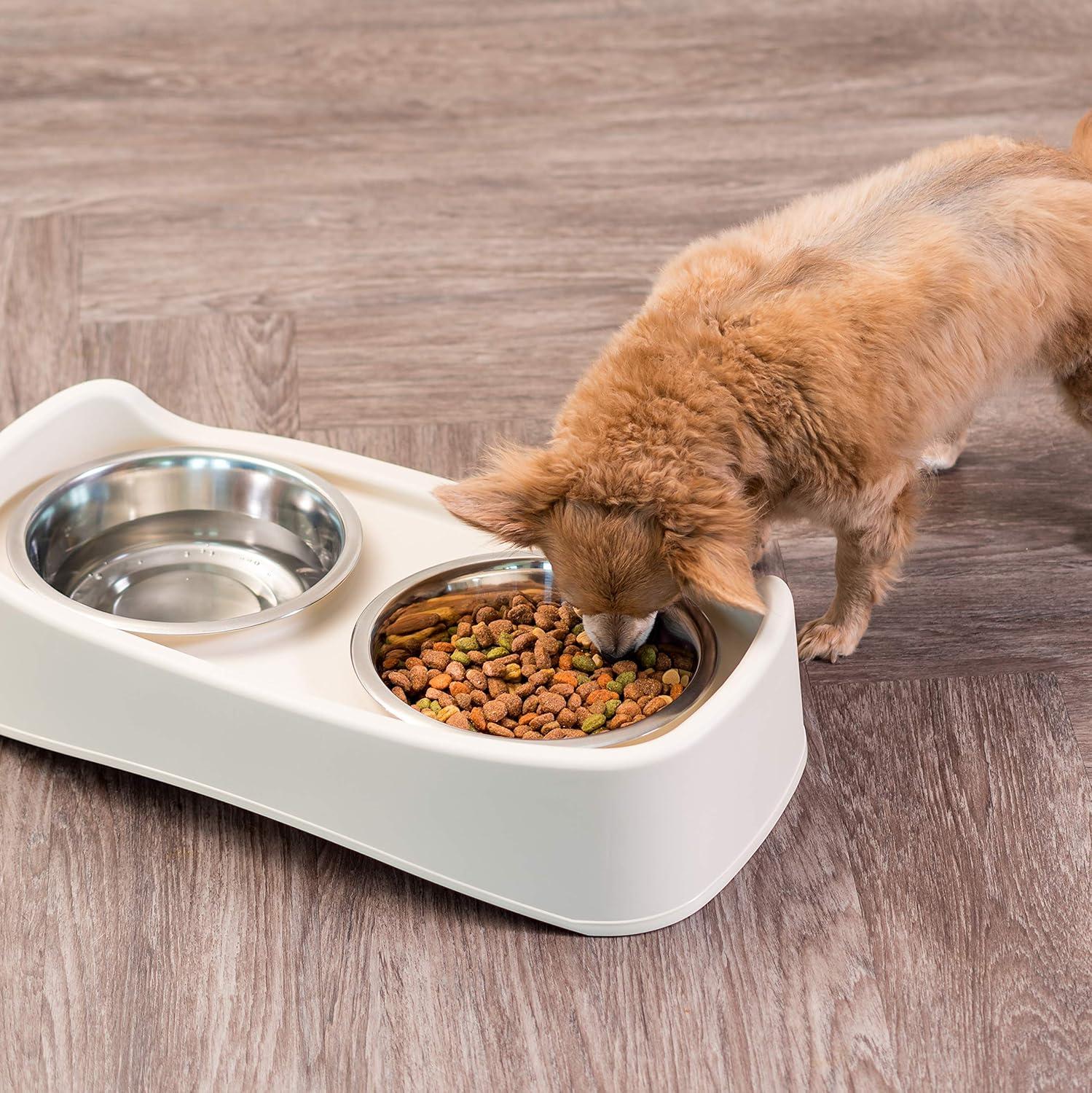 Beige Plastic Elevated Feeder with Stainless Steel Bowls