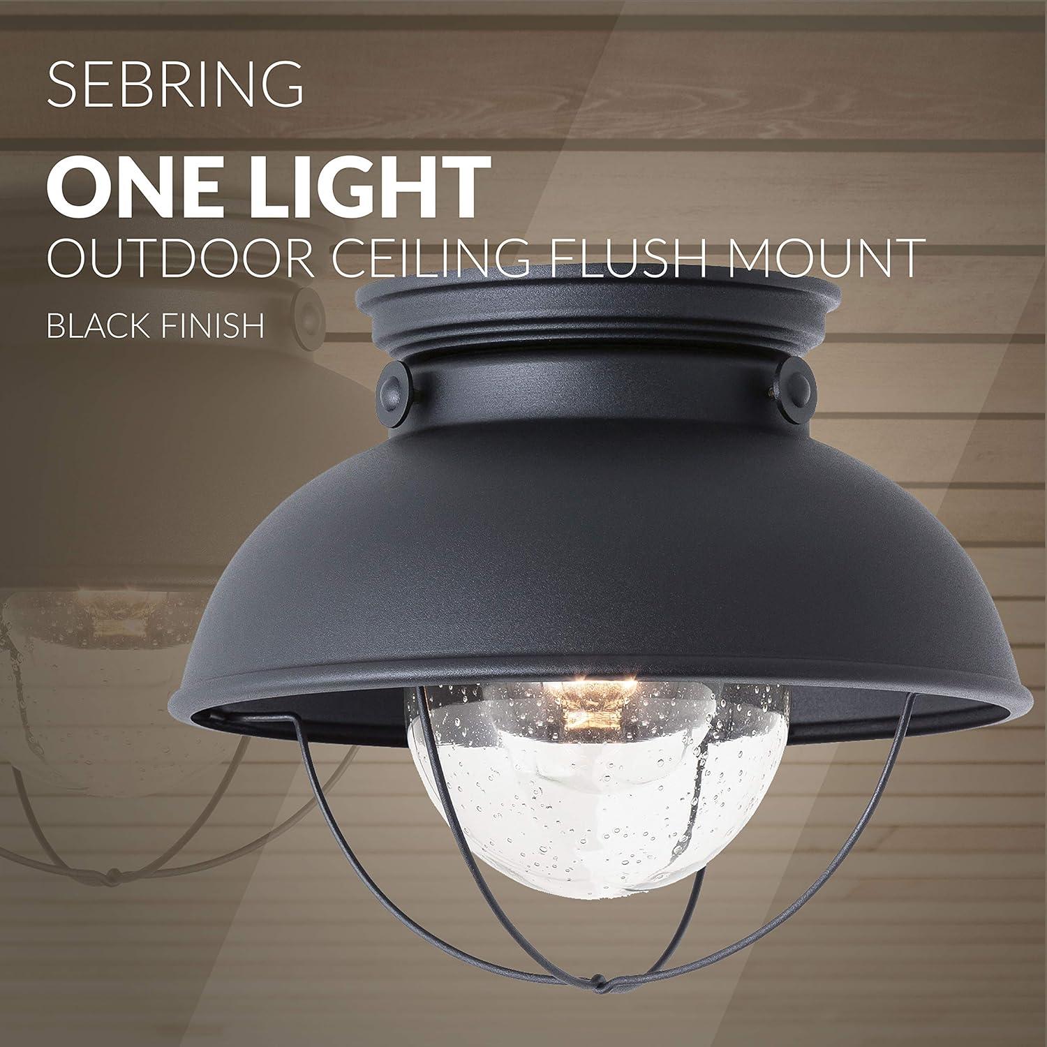 Sebring Black Outdoor Flush Mount with Clear Seeded Glass