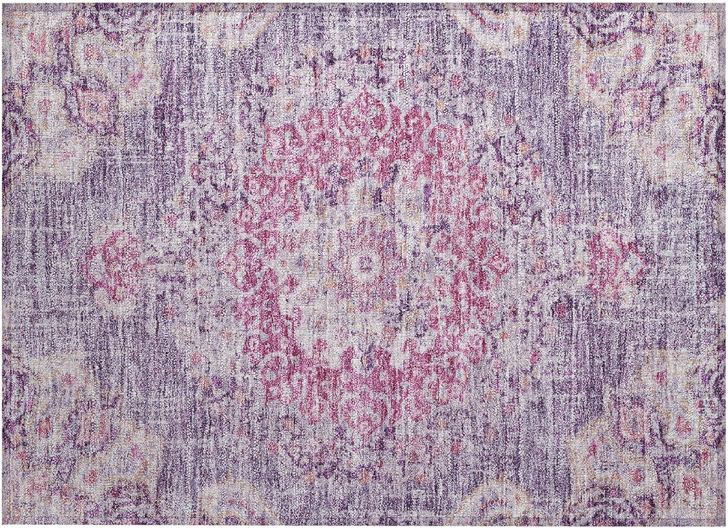 Machine Washable Indoor/Outdoor Chantille ACN1236 Purple Rug