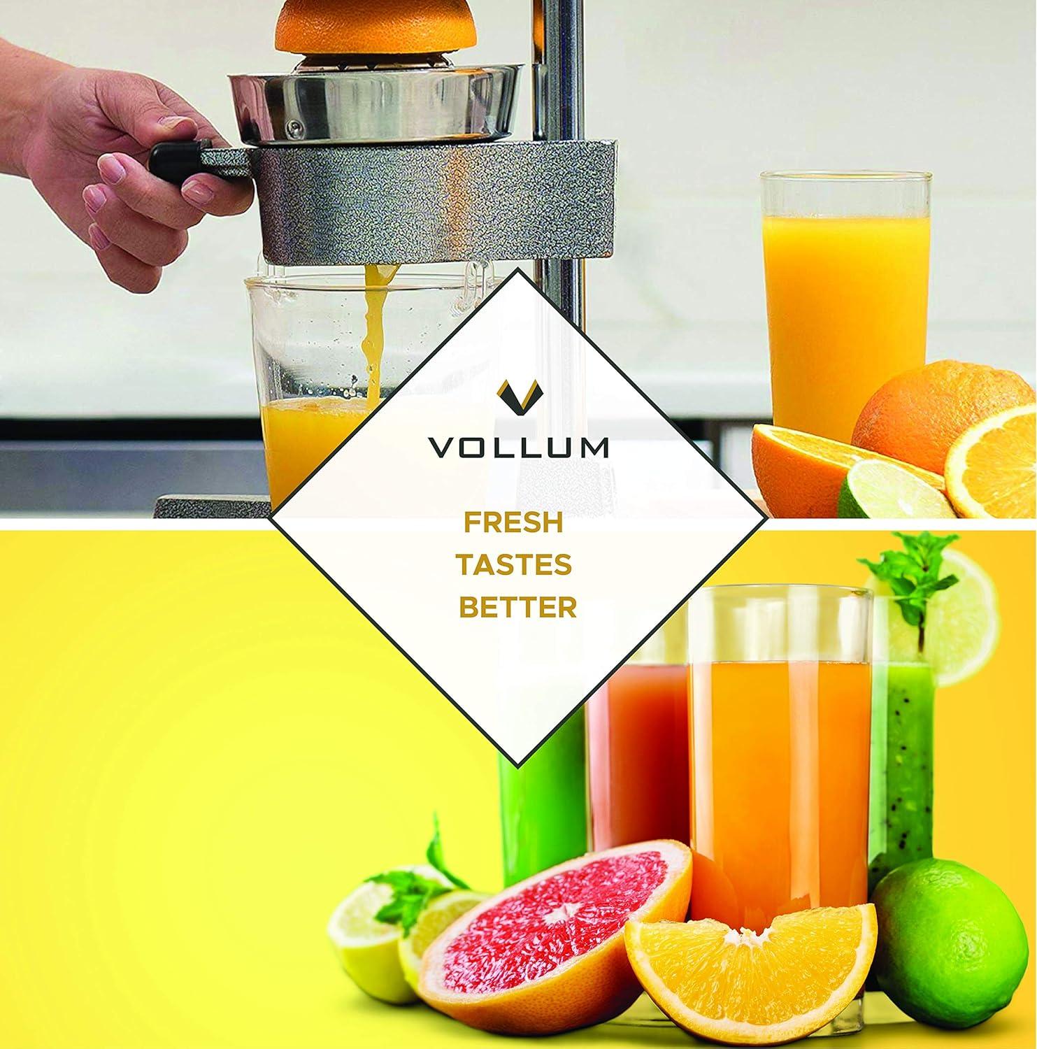 Gray Stainless Steel Manual Citrus Juicer with Non-Skid Base