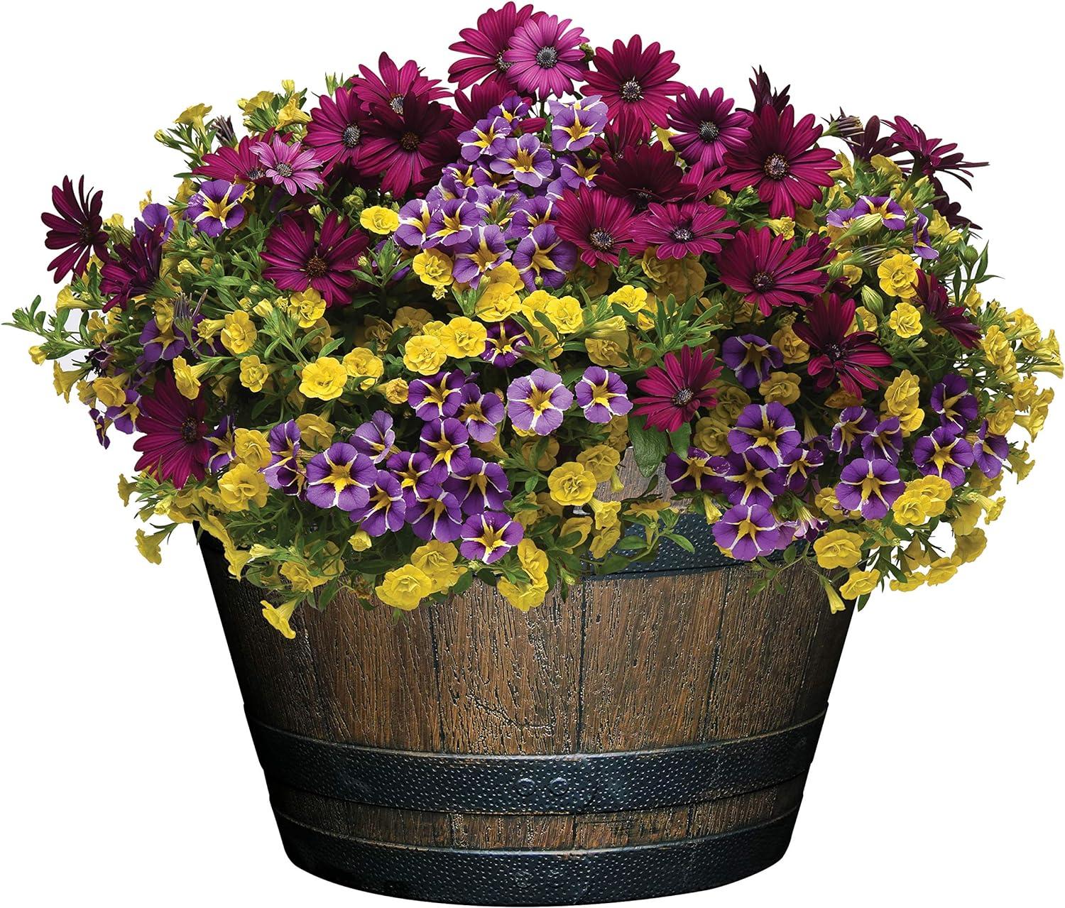 Kentucky Walnut 20.5" Resin Whiskey Barrel Planter