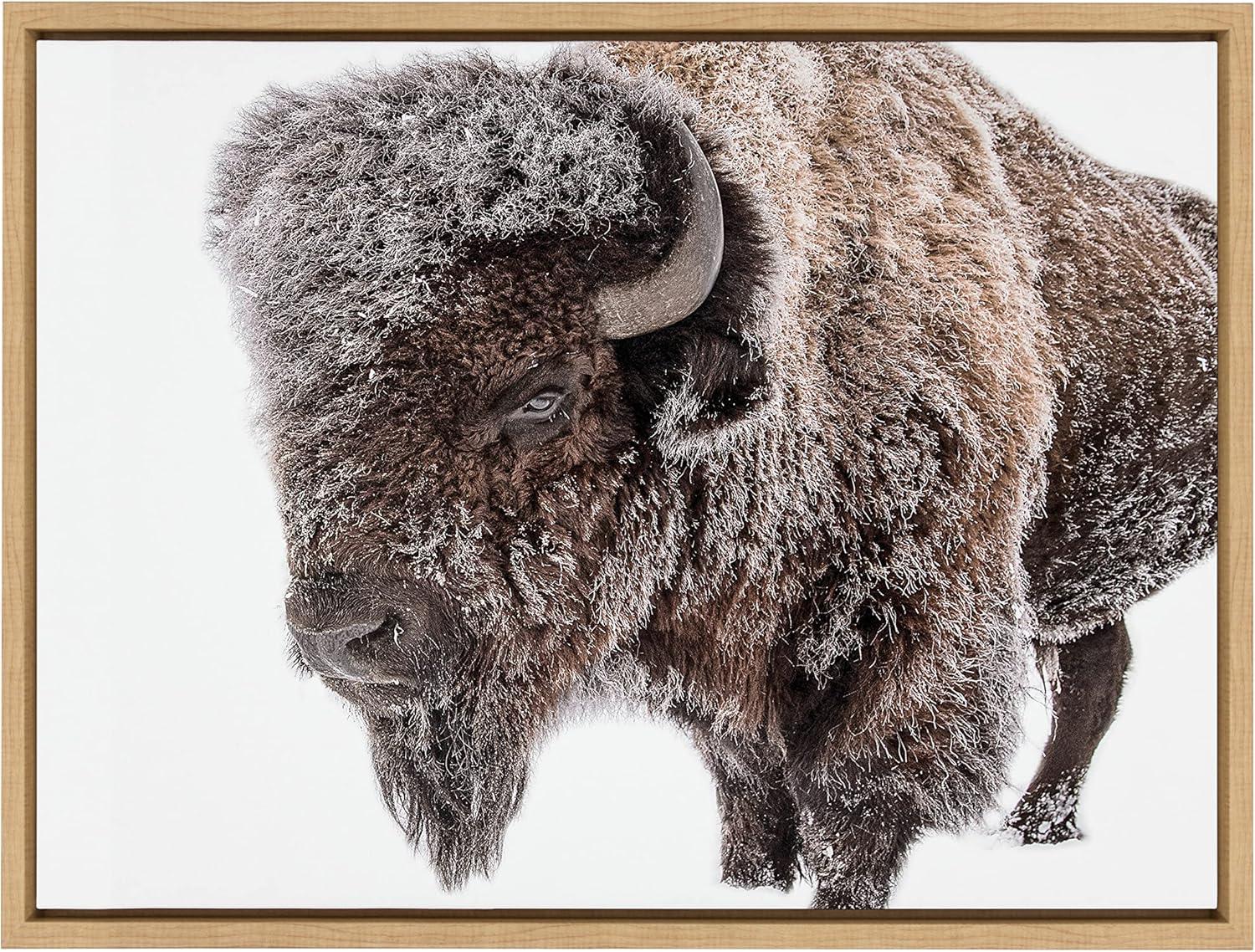 Sylvie Bison in Snow Framed Canvas by Amy Peterson Art Studio Natural - Kate & Laurel All Things Decor