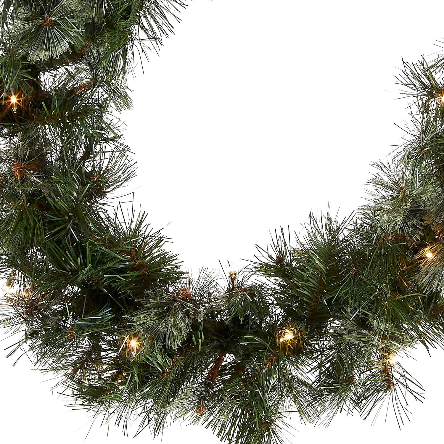 National Tree Company 9 ft. Wispy Willow Garland with Clear Lights