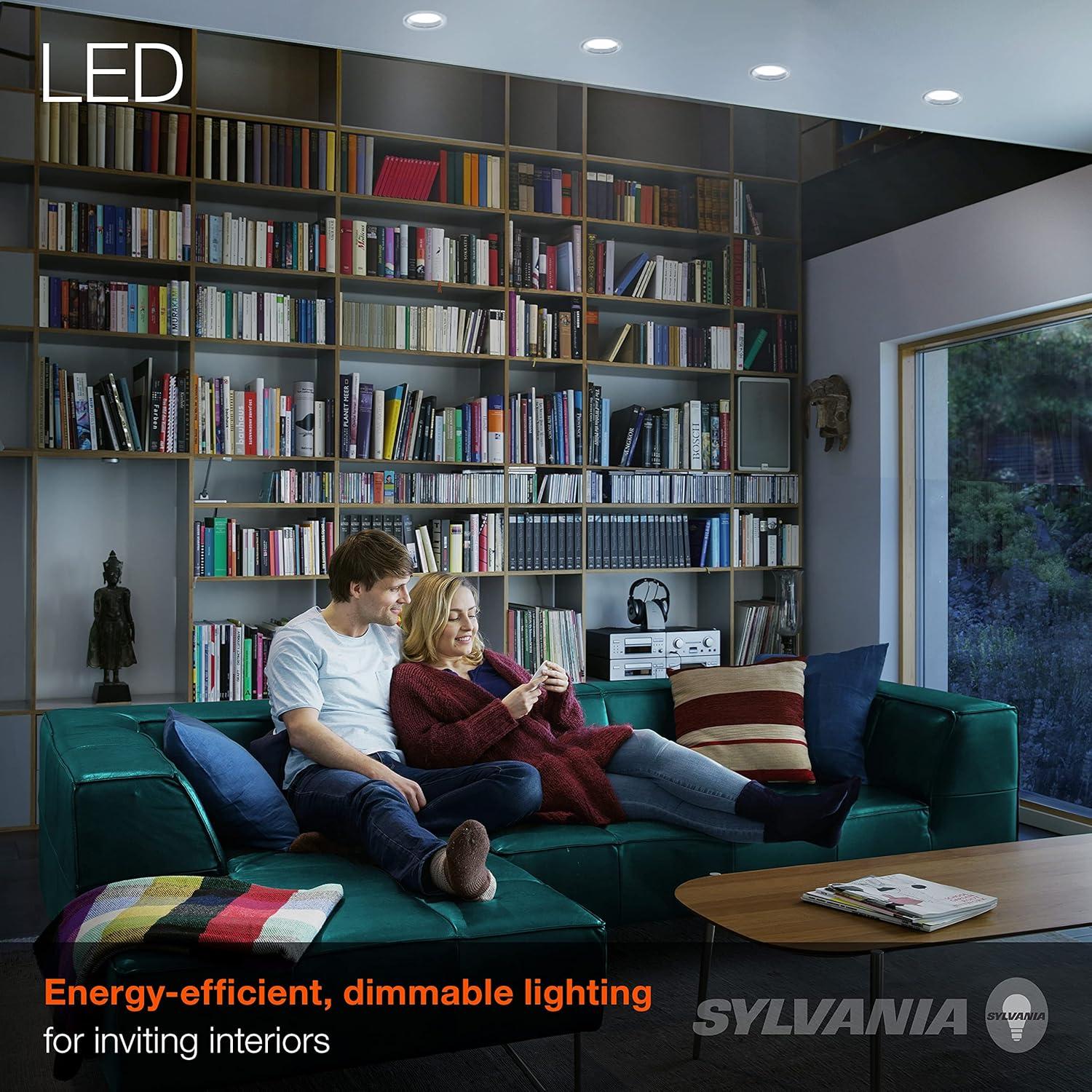 Sylvania 90W Equivalent Daylight LED PAR38 Flood Light Bulbs