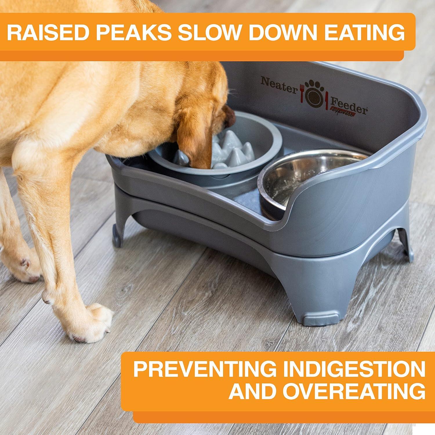 Neater Pets The Niner Slow Feed Bowl for Cats & Dogs - Slow Down Eating & Stop Bloat Vomit - 2 Cups Food Capacity