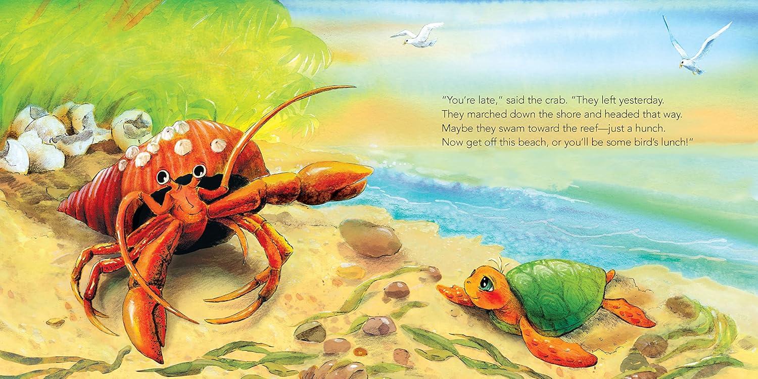 Baby Turtle's Tale - by  Elle J McGuinness & Romi Caron (Board Book)