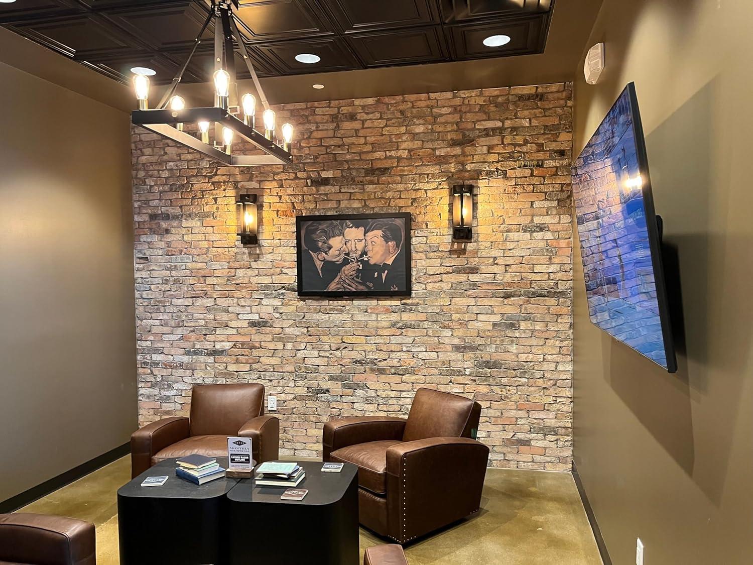 FromPlainToBeautifulInHours Economy Drop-In PVC Ceiling Tile (Set of 50)