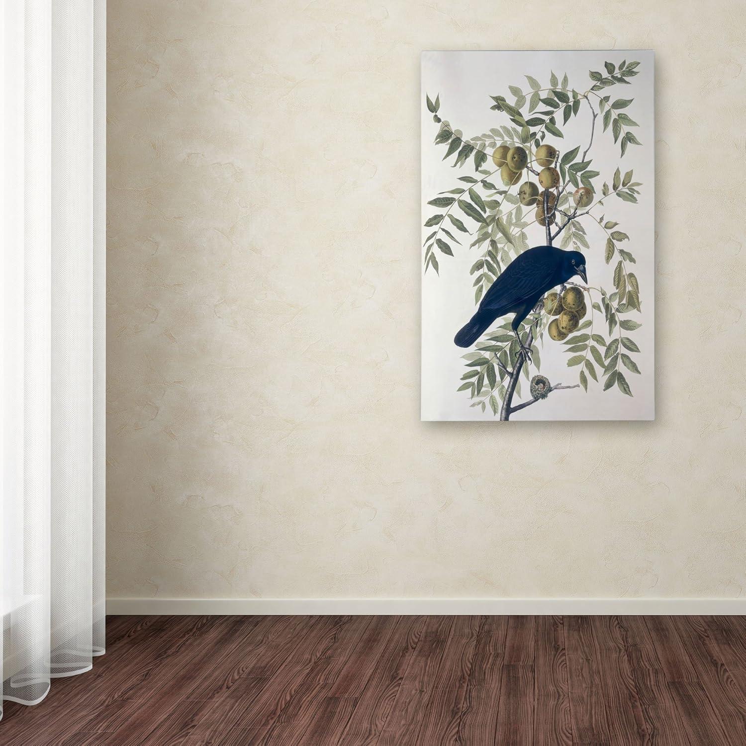 American Crow Perched on Branch Canvas Art Print