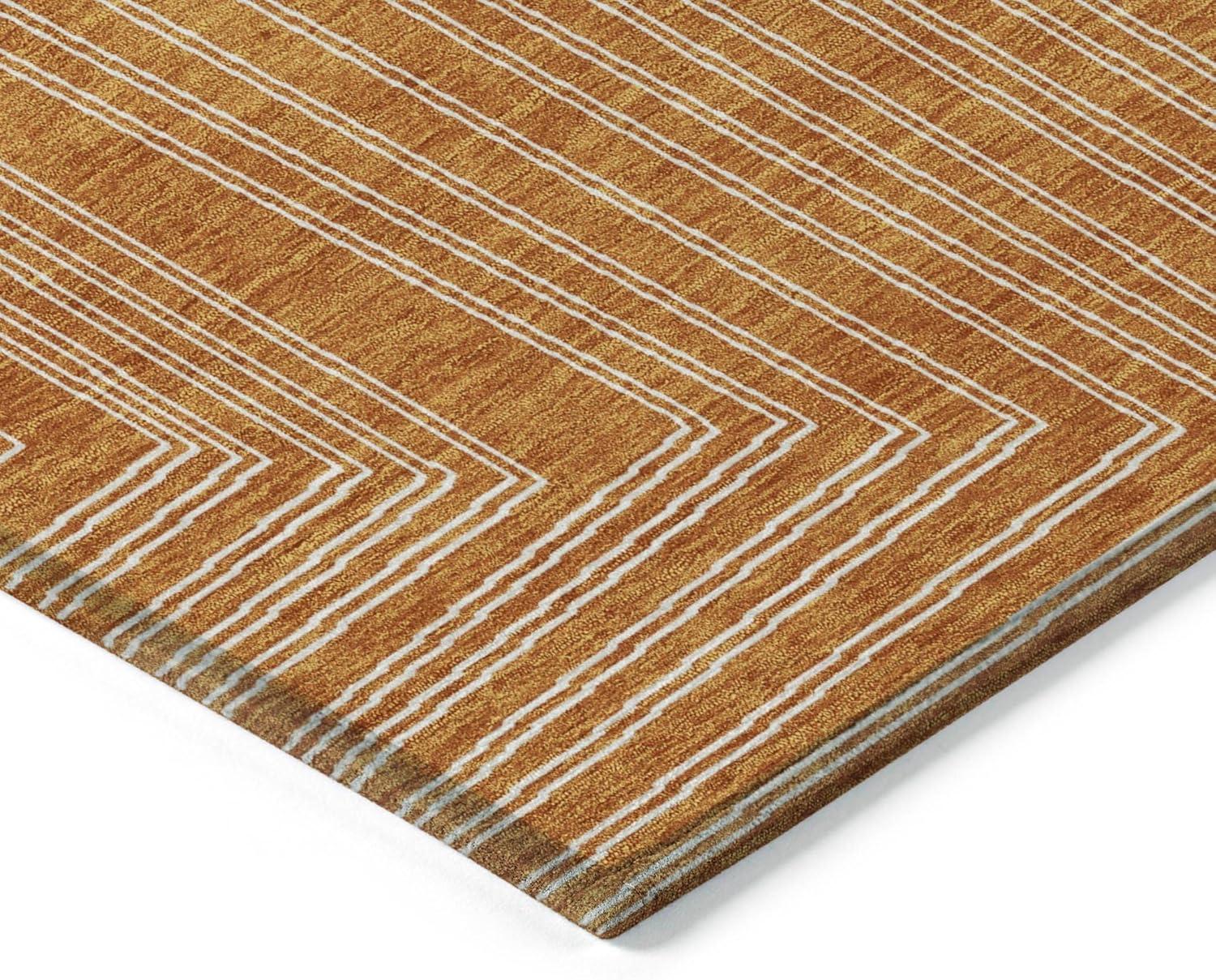 Machine Washable Indoor/Outdoor Chayden ACN1045 Paprika Rug