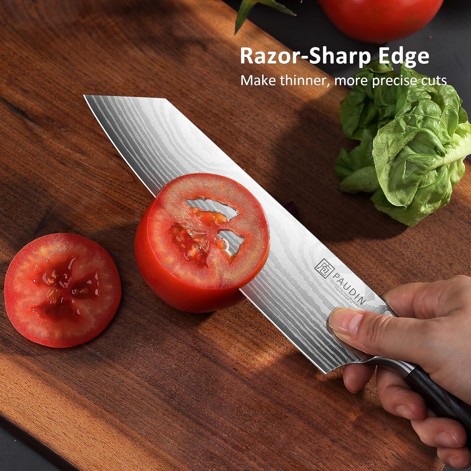 PAUDIN Chef Knife, 8 Inch High Carbon Stainless Steel Sharp Kitchen Knife with Ergonomic Handle, Gift Box for Family & Restaurant C80