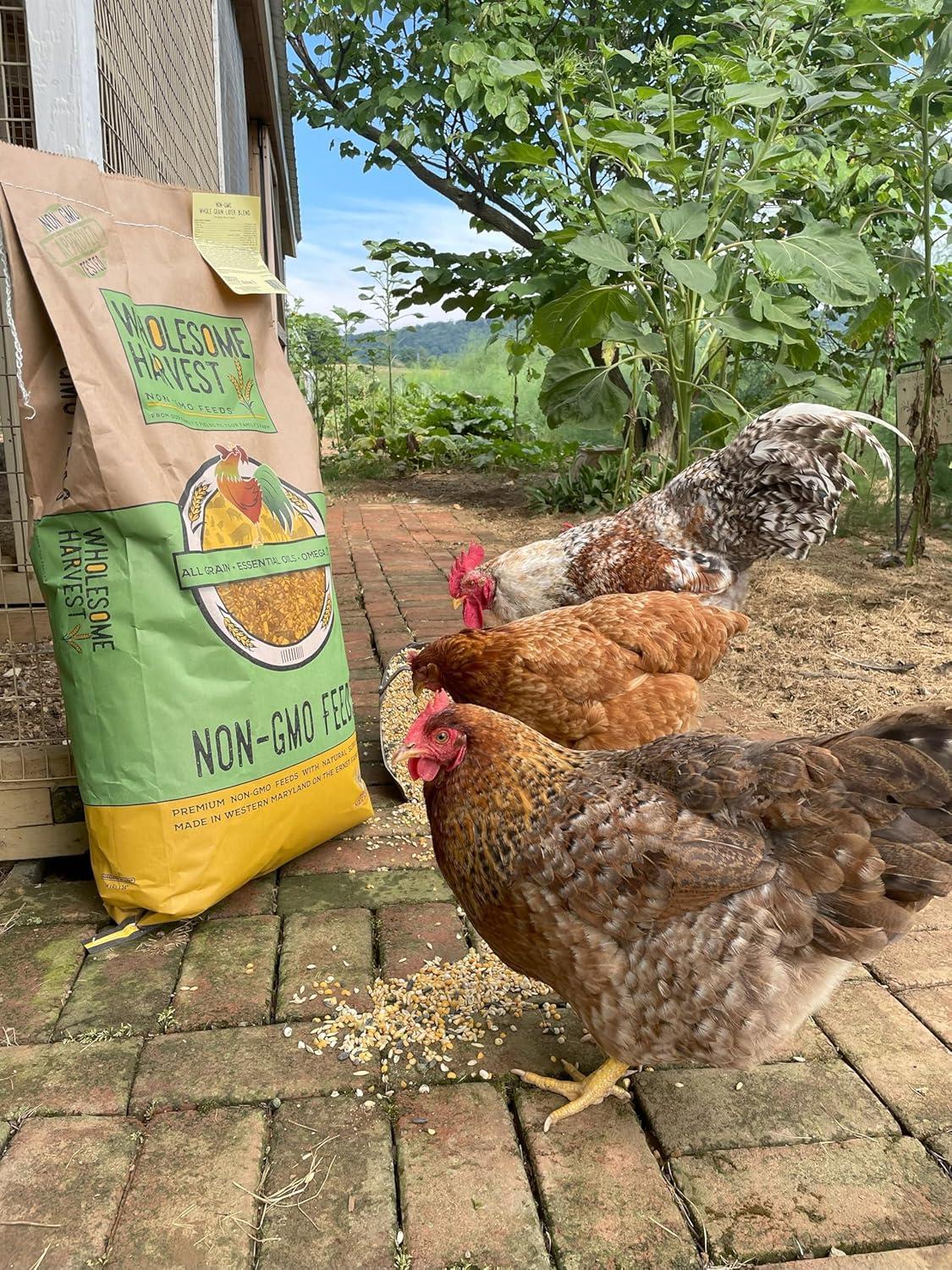 Wholesome Harvest All Flock Feed - Perfect Feed for Mixed Flocks of Chickens, Ducks, Turkeys, Geese, and Other Fowl, 40 lbs