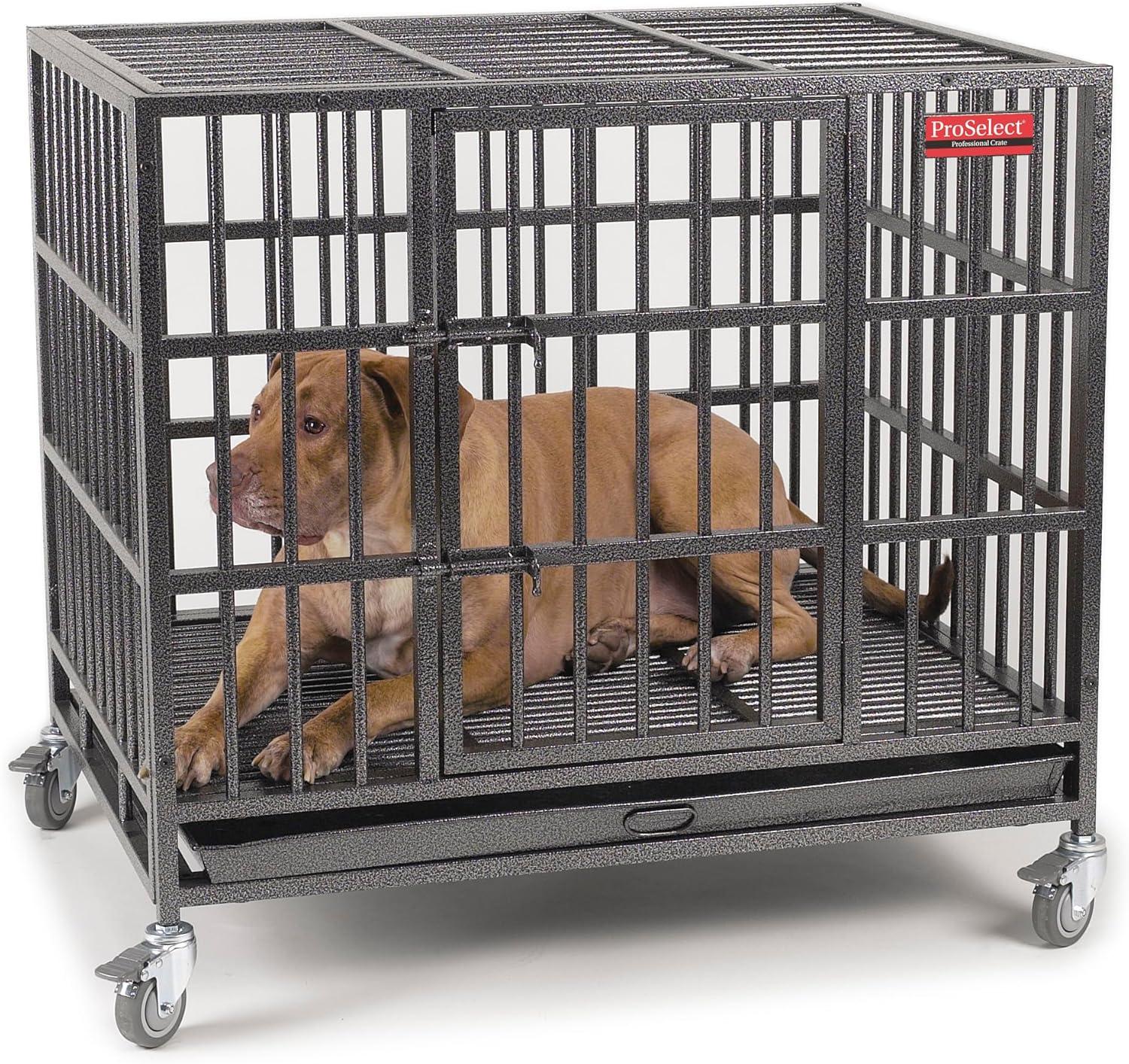 ProSelect Metal Pet Crate with 1 Door