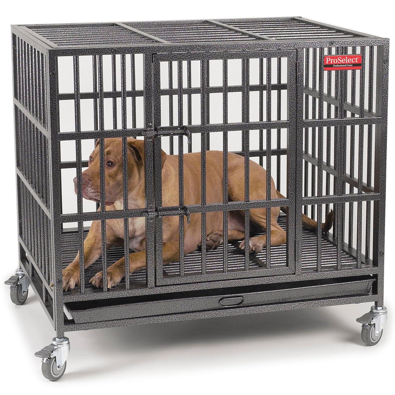 ProSelect Metal Pet Crate with 1 Door