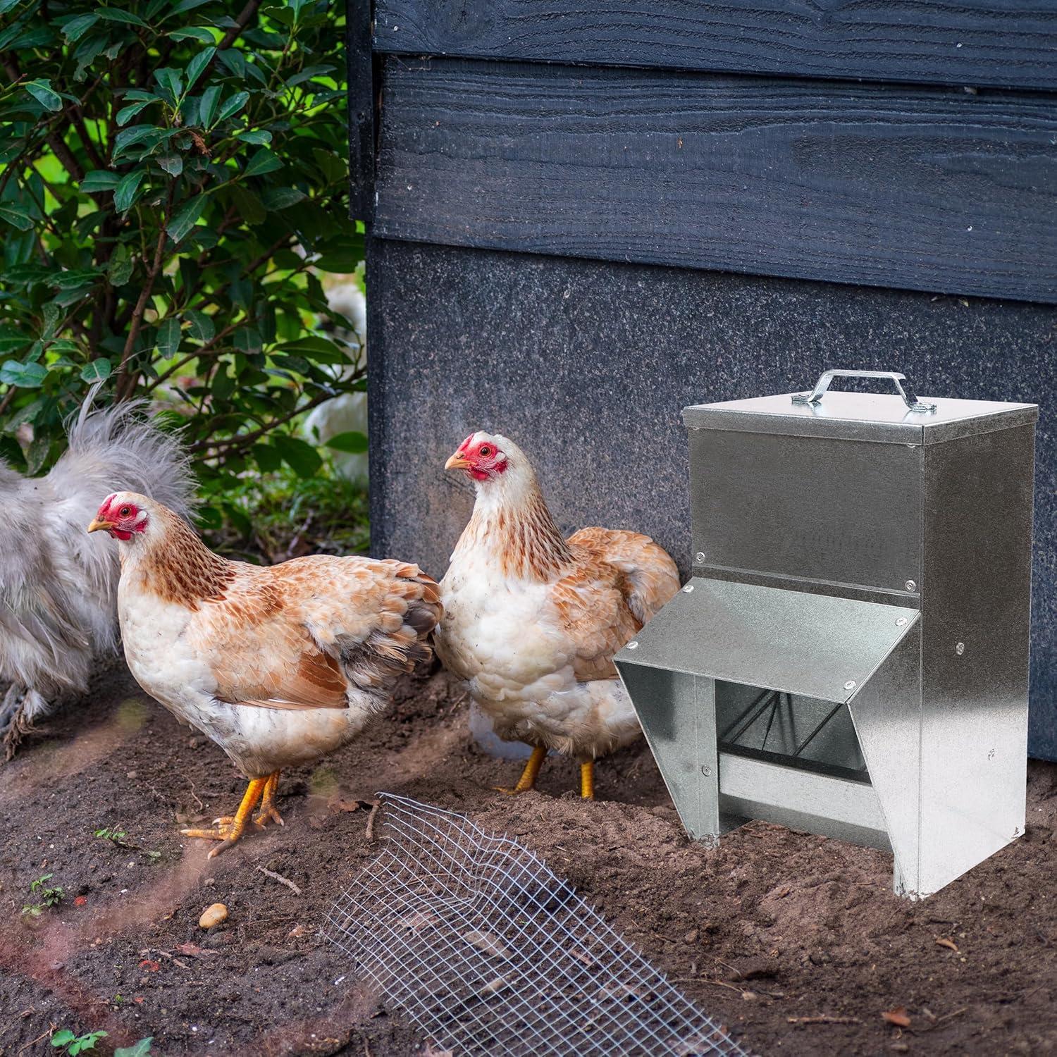 Rural365 11.5lb Capacity Galvanized Chicken Feeder Weatherproof Coop Dispenser