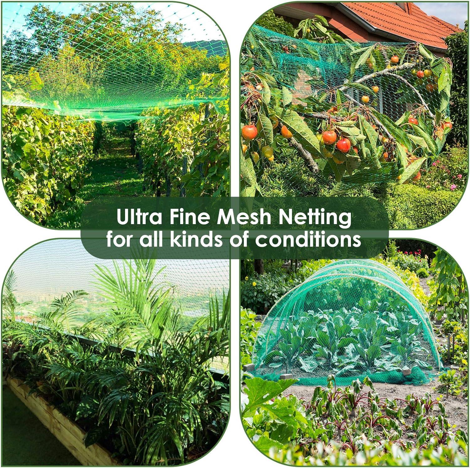 Green Heavy Duty Plastic Garden Netting for Fruits and Vegetables