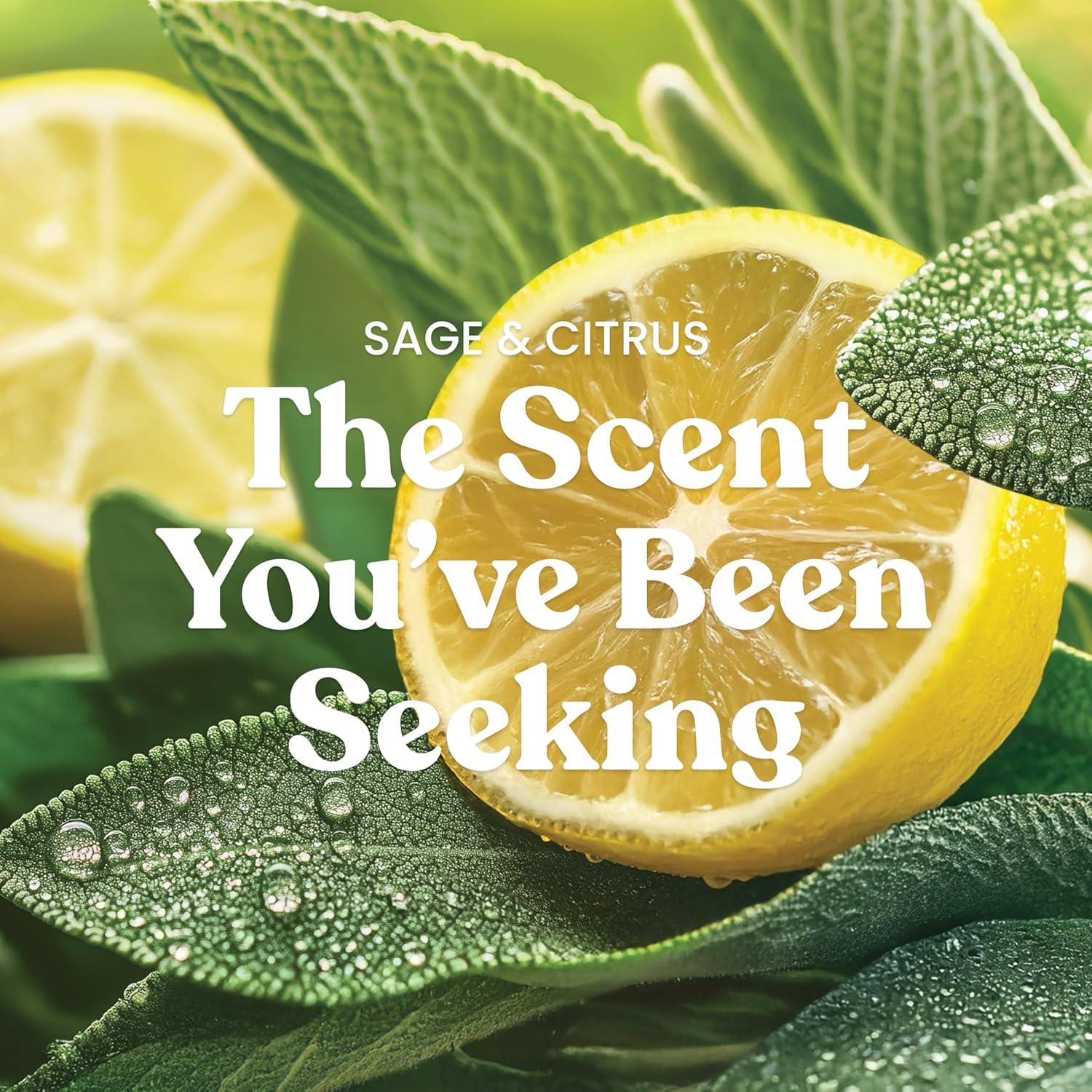 Signature Tumbler Sage and Citrus 20oz - Yankee Candle