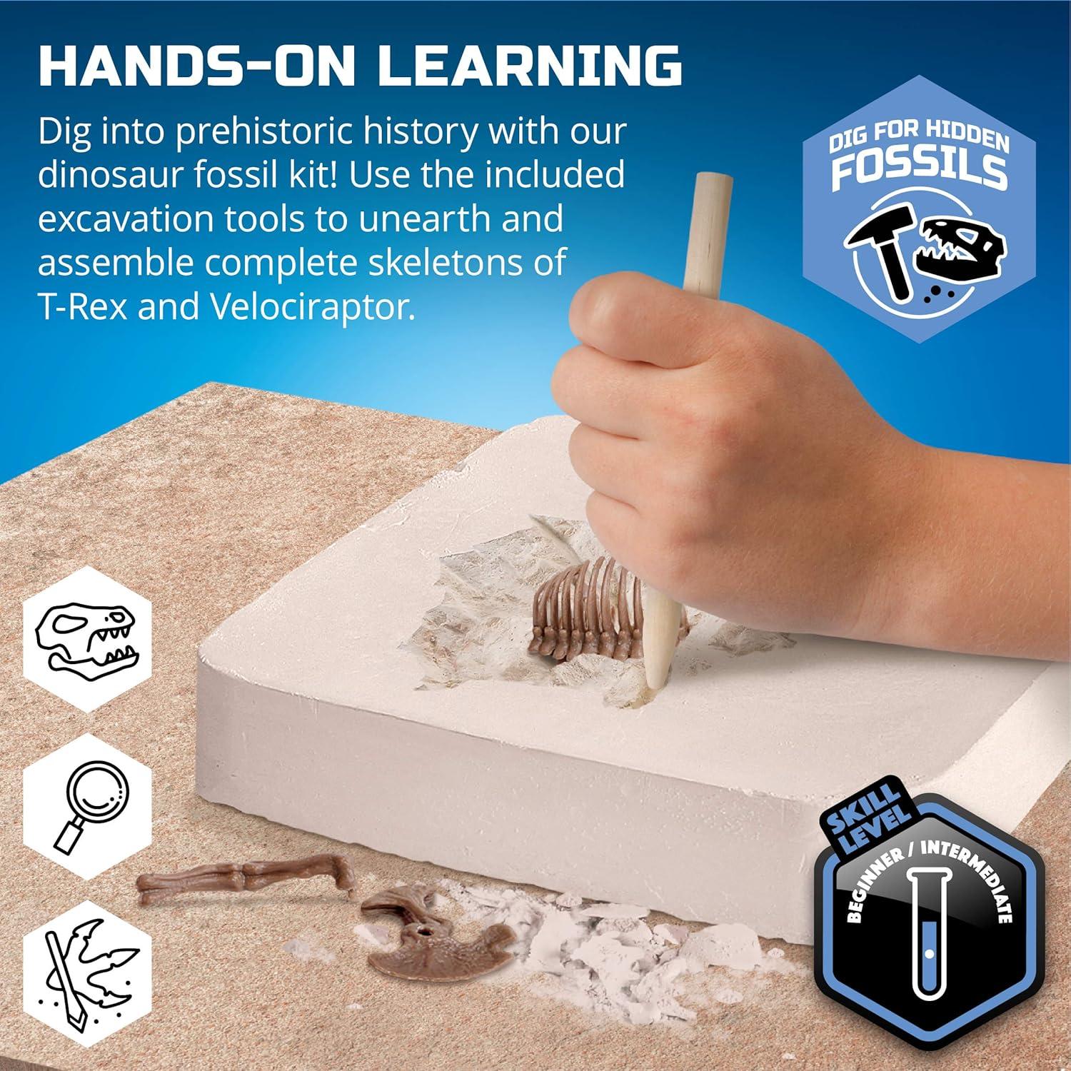 Discovery Mindblown Dinosaur Fossil Dig Excavation Kit with Tools