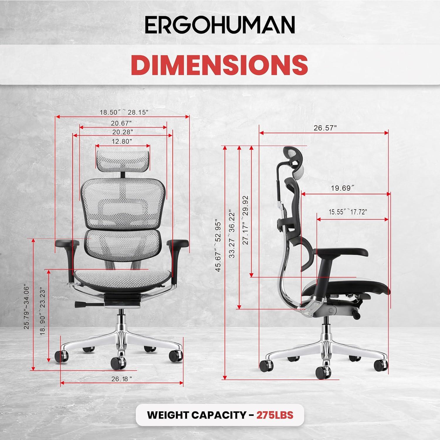 Eurotech Seating Ergohuman Executive Chair with Headrest