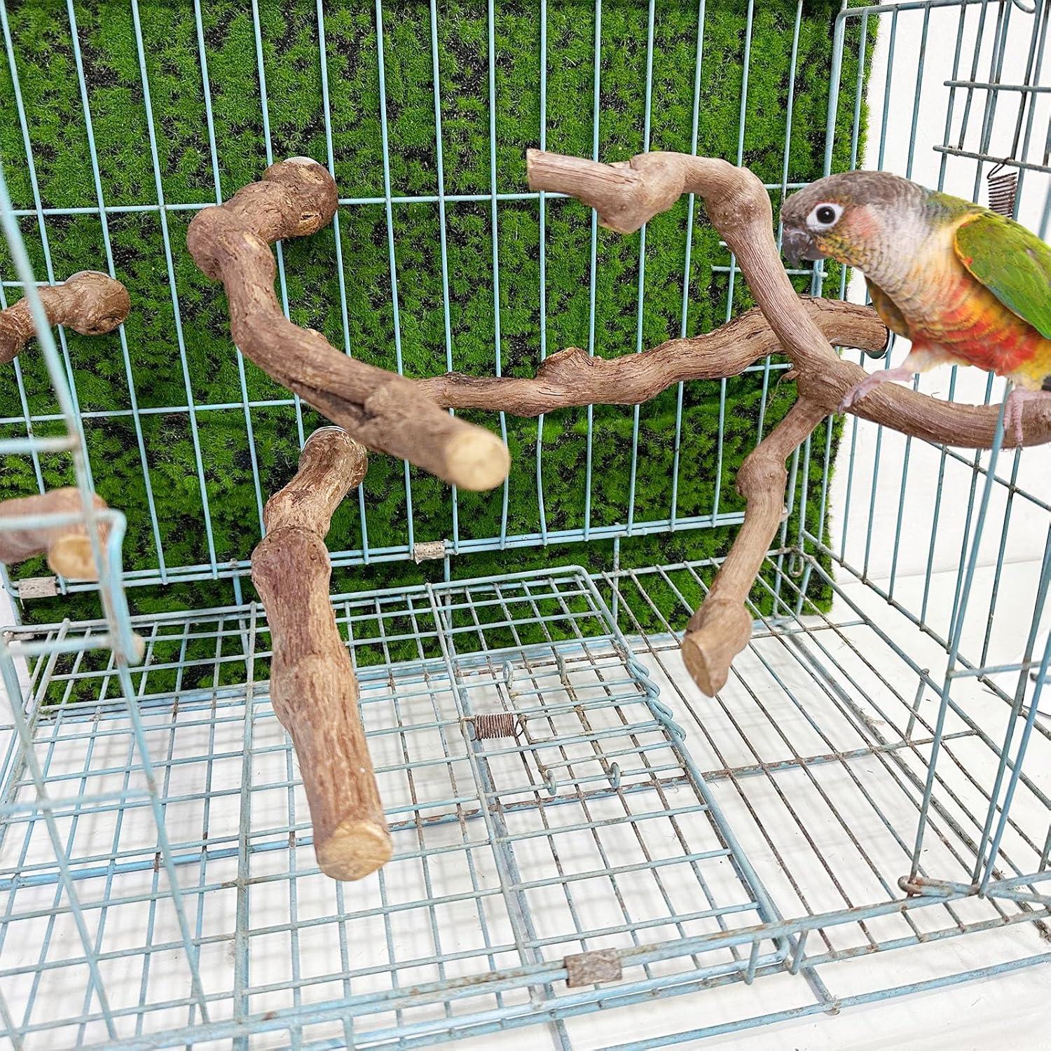 Natural Grapevine Bird Perch Set for Parrot Cages