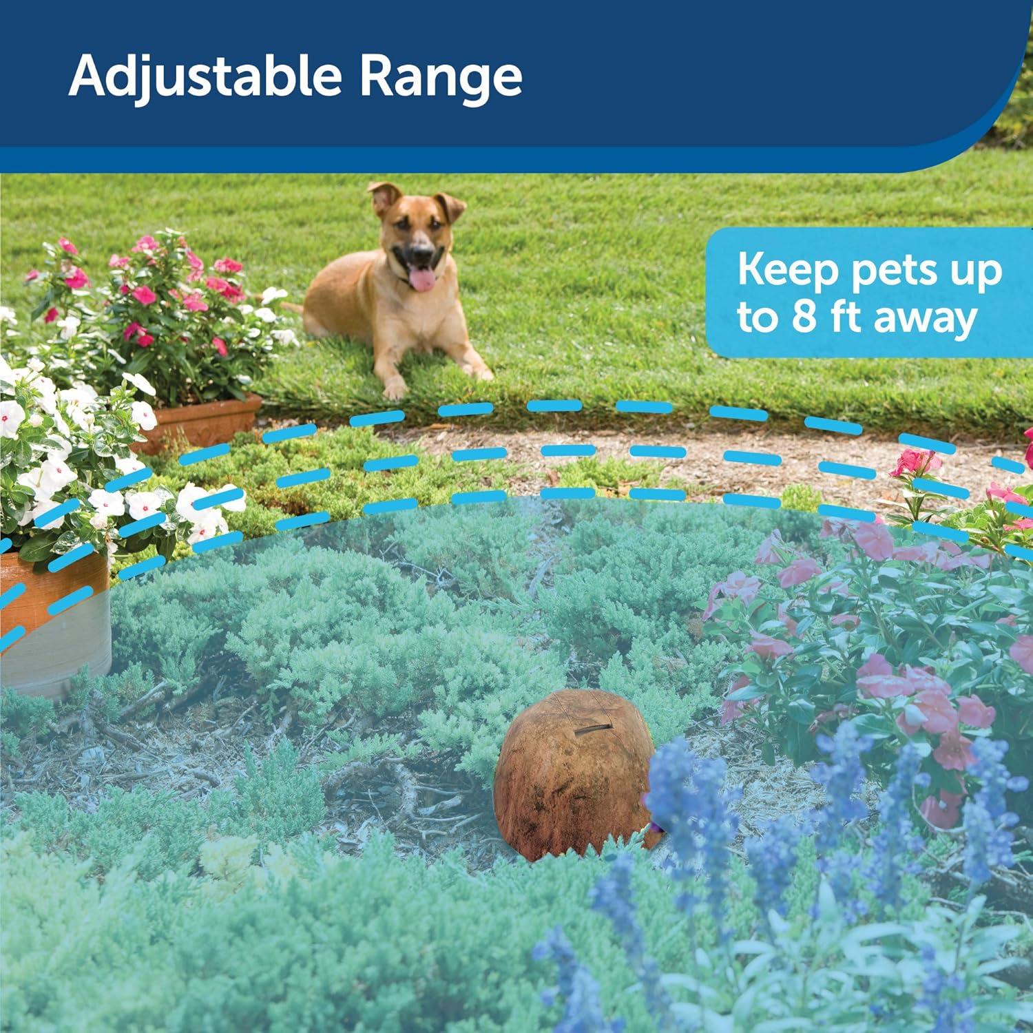 PetSafe Pawz Away Outdoor Pet Barrier Transmitter Rock Design