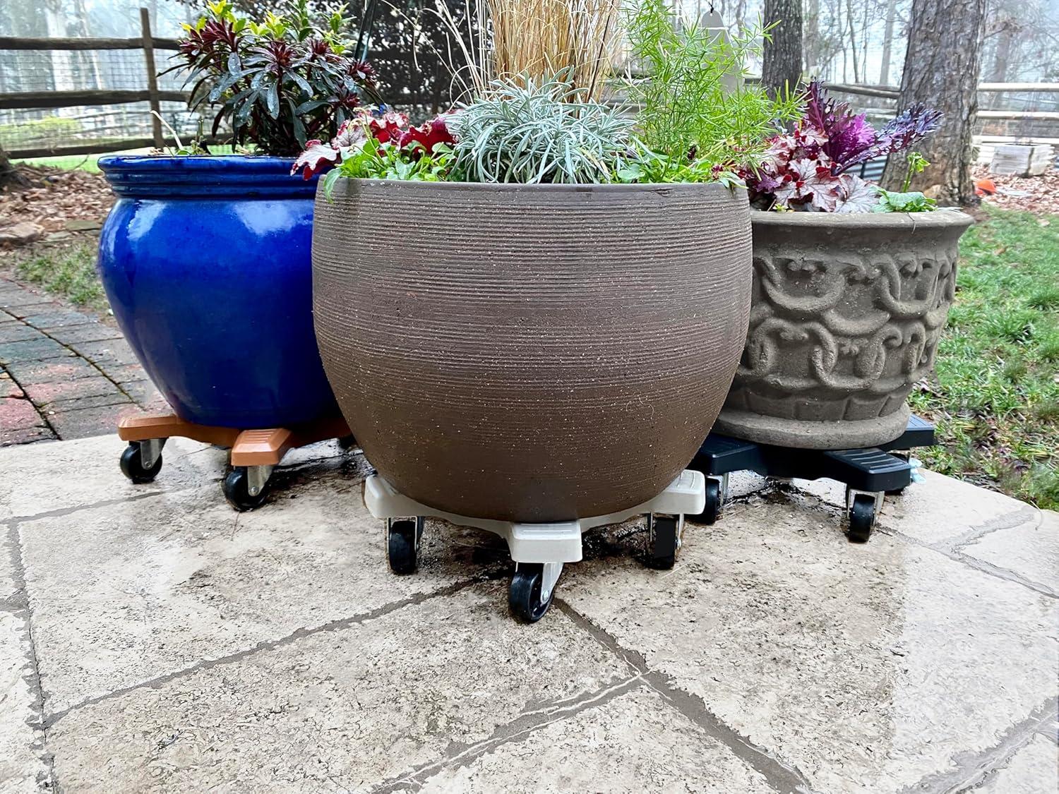 Plantstand Caddy Plant Stand