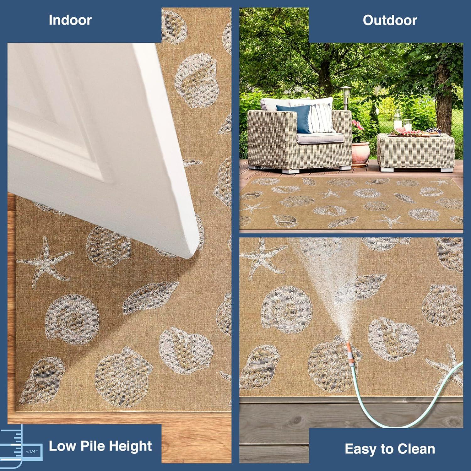 Saldanha Indoor / Outdoor Rug