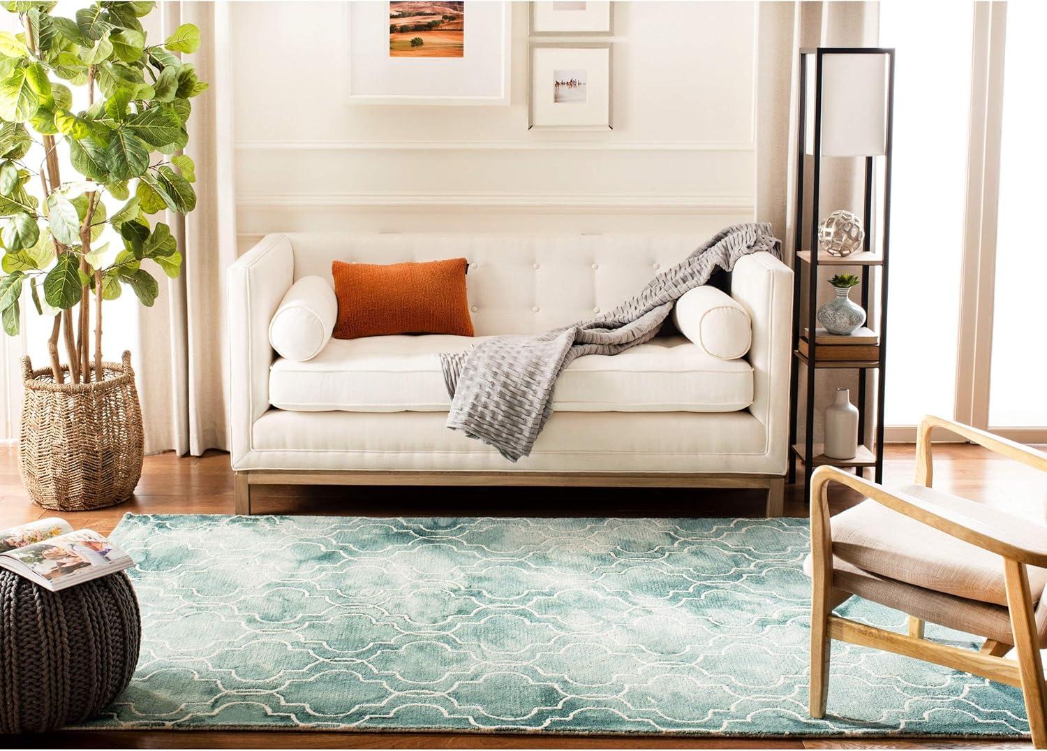 Dip Dye DDY676 Hand Tufted Area Rug  - Safavieh