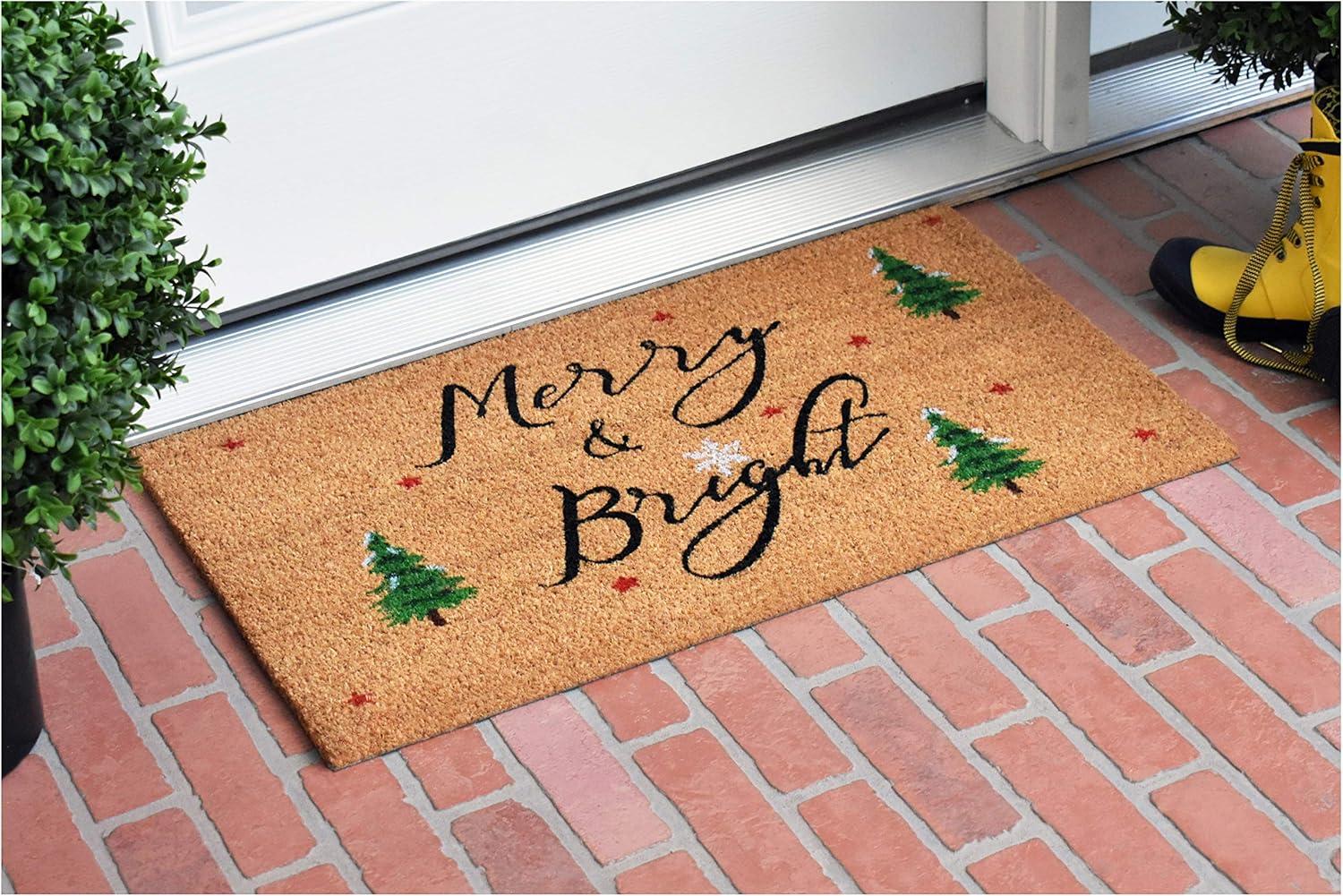 Modern Coir Winter Welcome Outdoor Doormat 29" x 17"