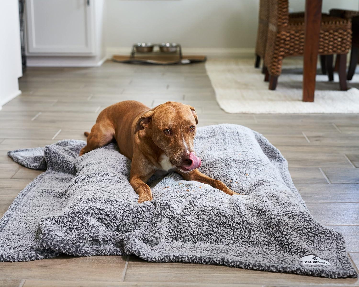 Large Slate Sherpup Fabric Water Resistant Pet Blanket